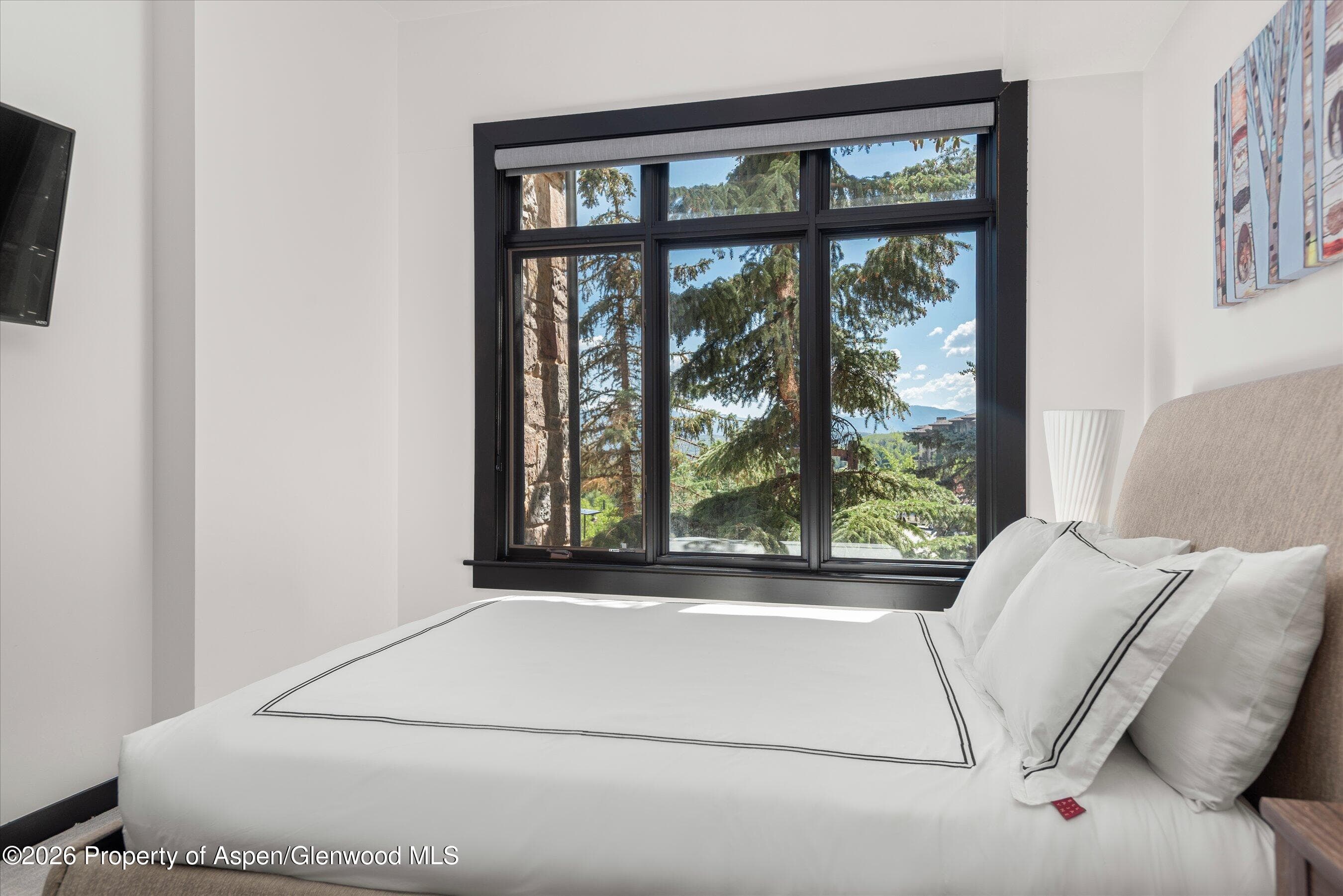 60 Carriage Way 3032, Snowmass Village, CO 81615 - Photo 21