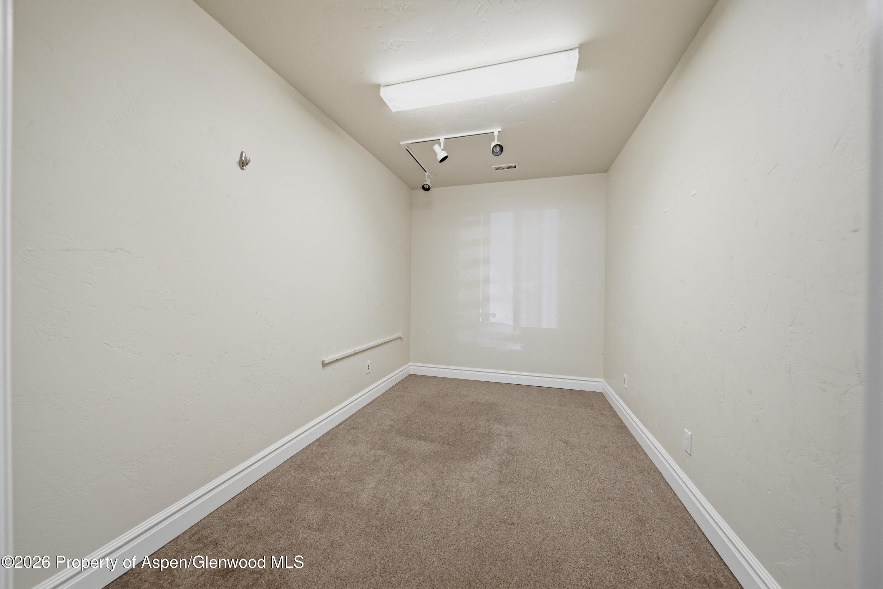 67 N 3rd Street, Carbondale, CO 81623 - Photo 18