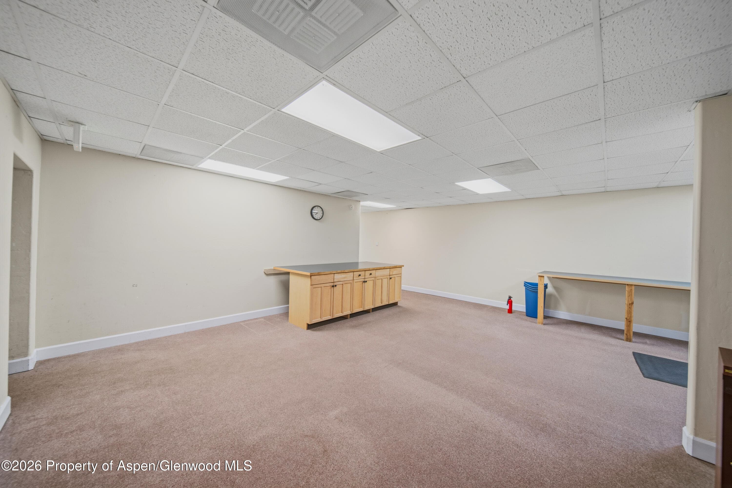 67 N 3rd Street, Carbondale, CO 81623 - Photo 27