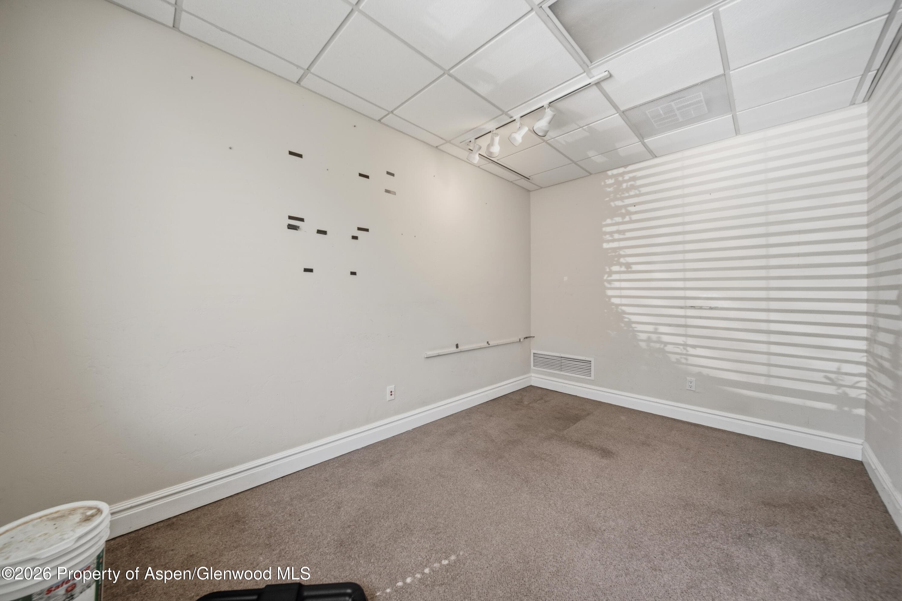 67 N 3rd Street, Carbondale, CO 81623 - Photo 29