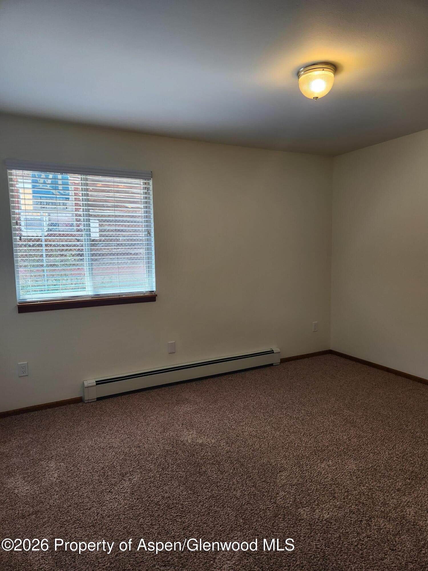 230 S E Avenue, New Castle, CO 81647 - Photo 9