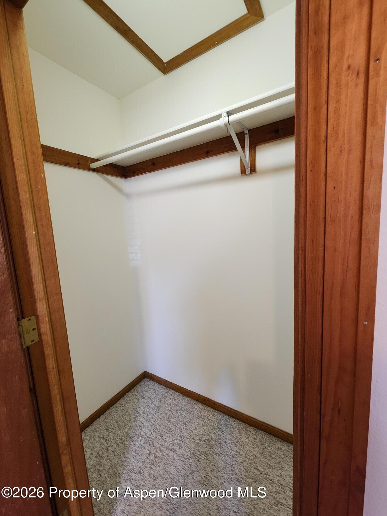 230 S E Avenue, New Castle, CO 81647 - Photo 10