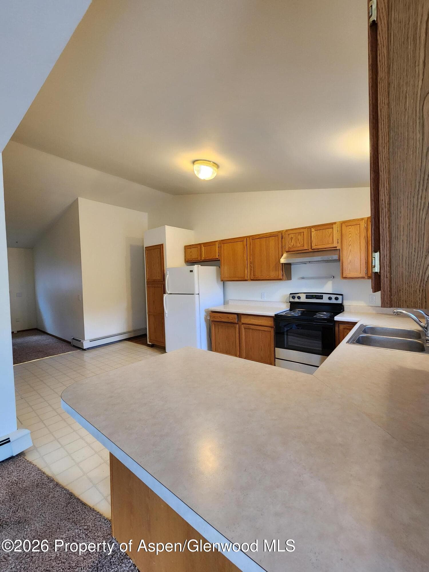 230 S E Avenue, New Castle, CO 81647 - Photo 4