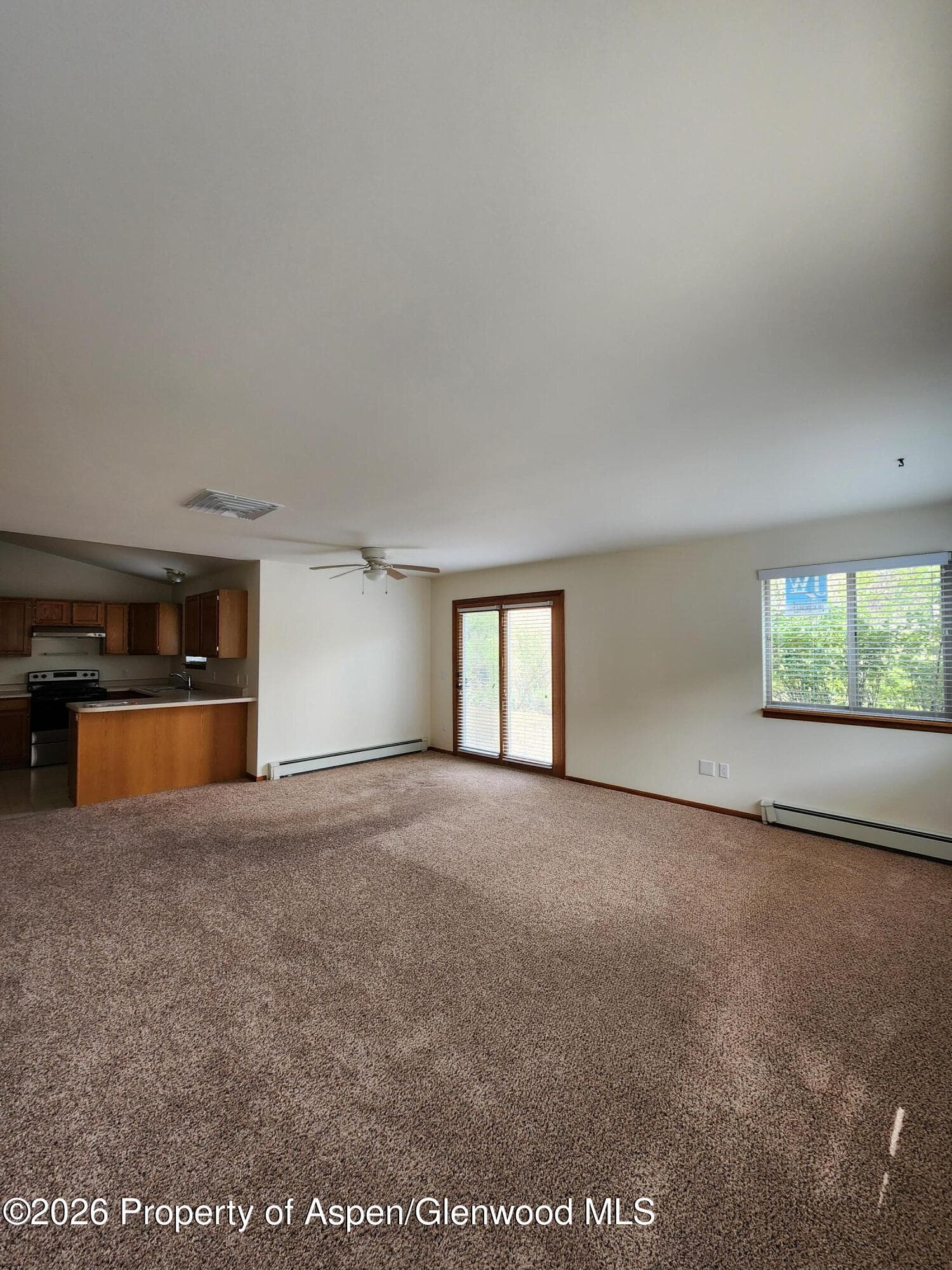 230 S E Avenue, New Castle, CO 81647 - Photo 3