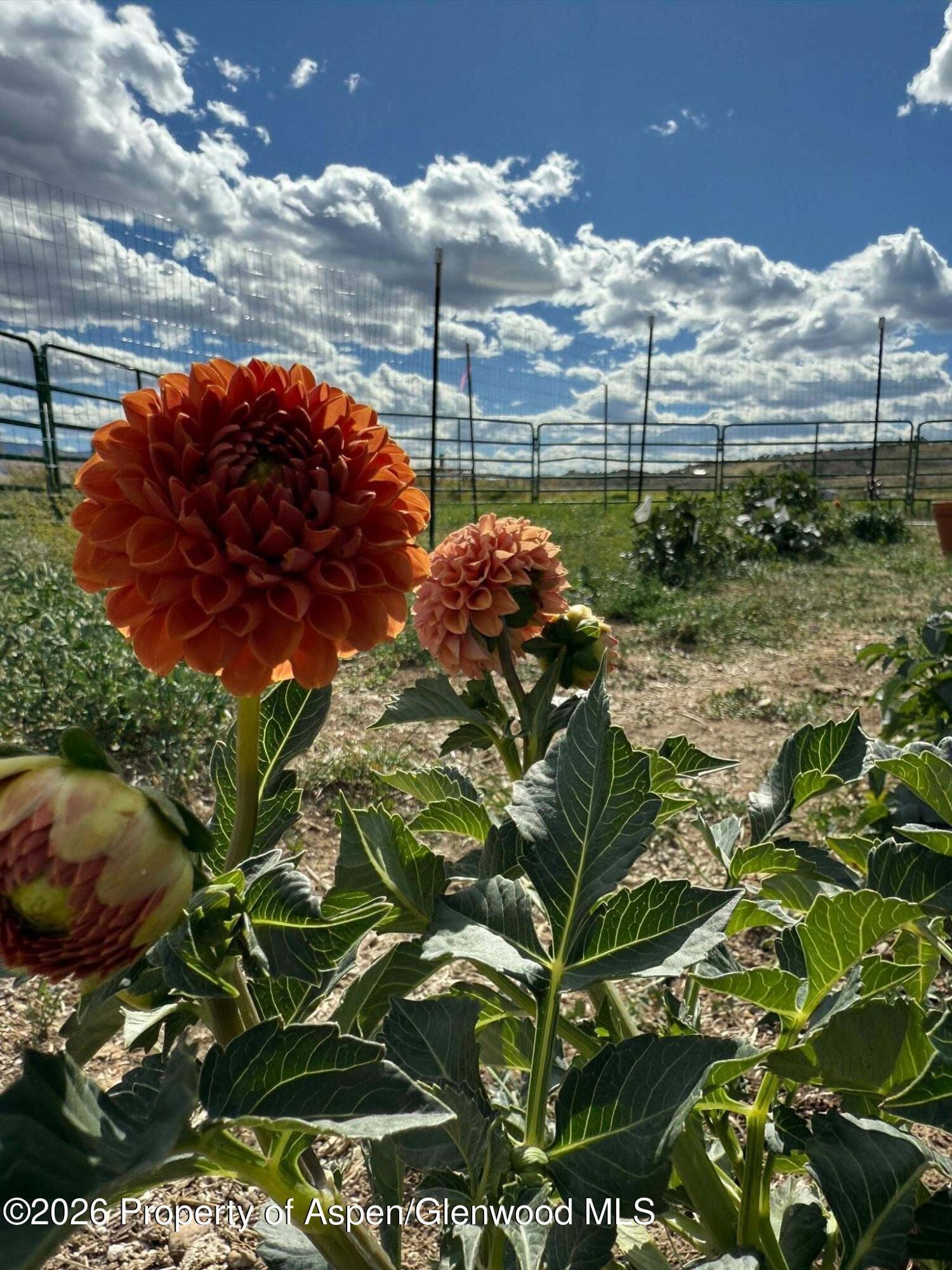 Lot 3 Solar Road, Montrose, CO 81403 - Photo 19