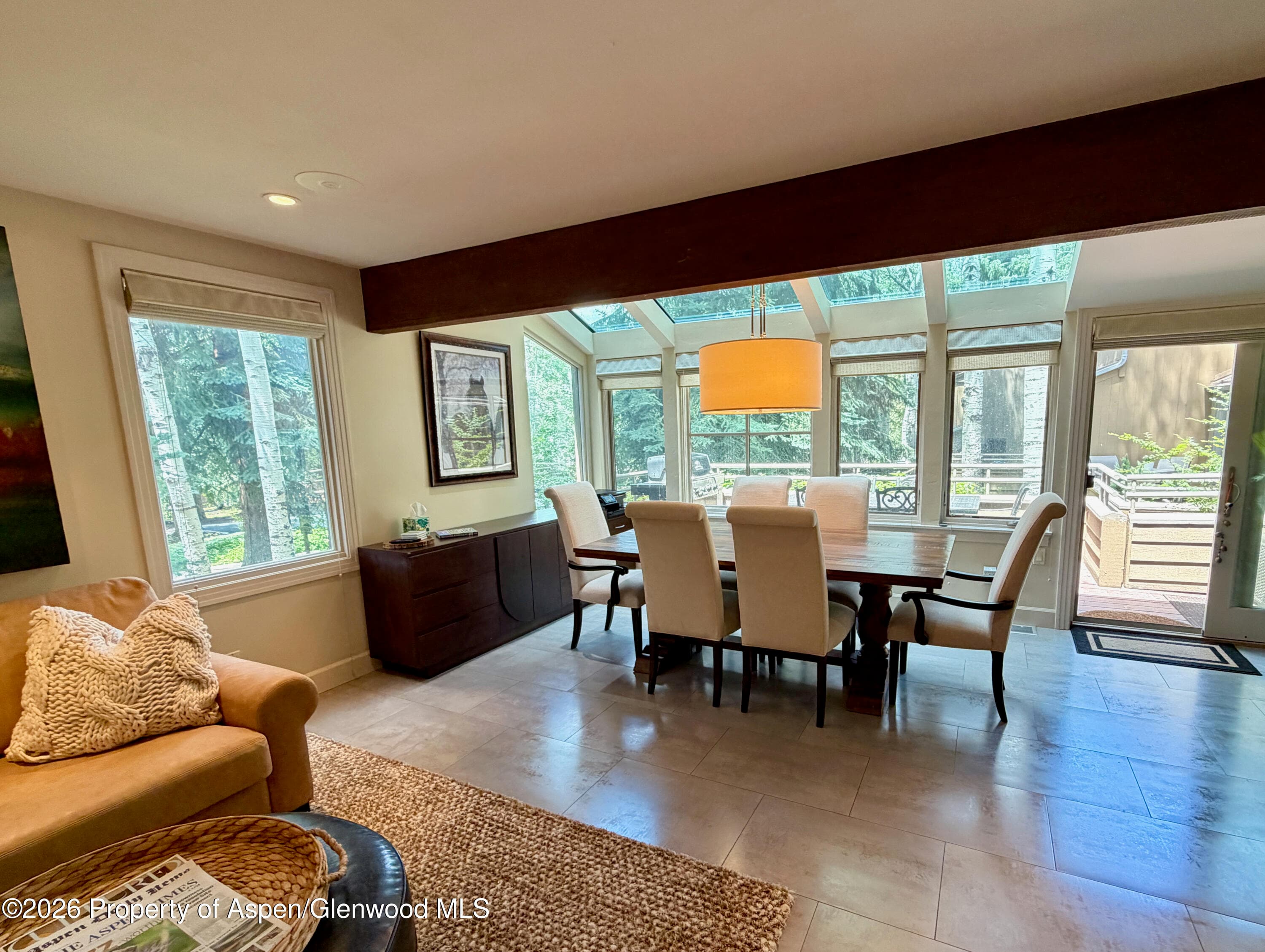100 N 8th Street 7, Aspen, CO 81611 - Photo 8