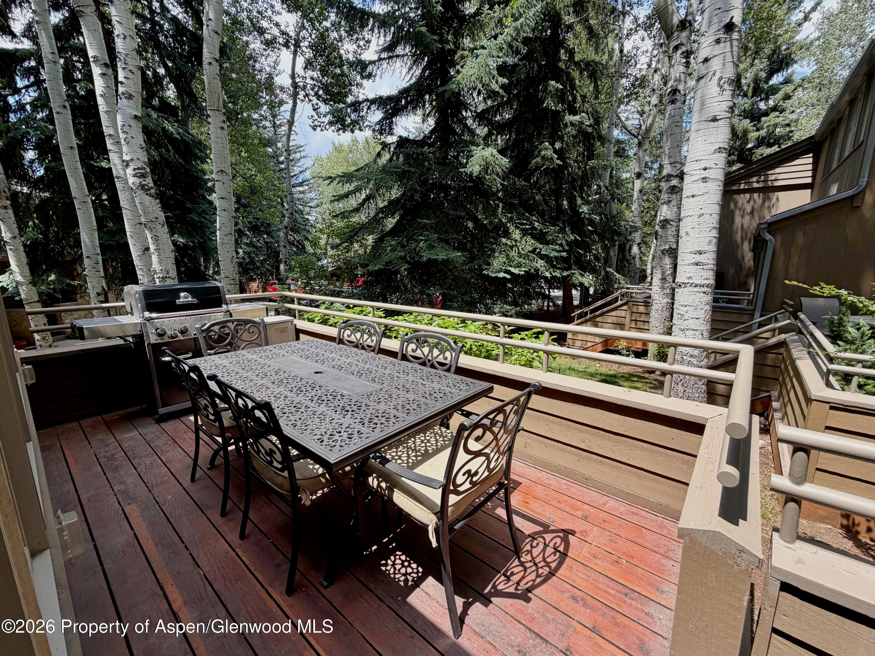 100 N 8th Street 7, Aspen, CO 81611 - Photo 22