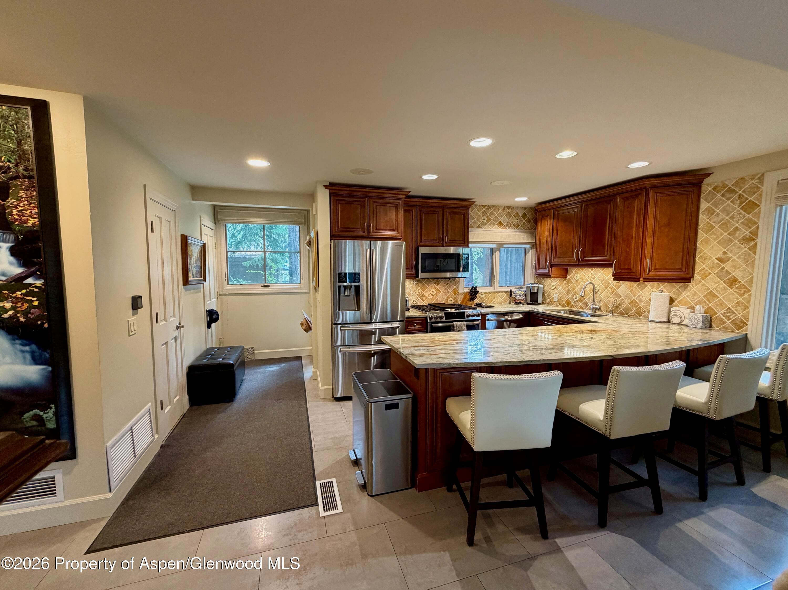 100 N 8th Street 7, Aspen, CO 81611 - Photo 6