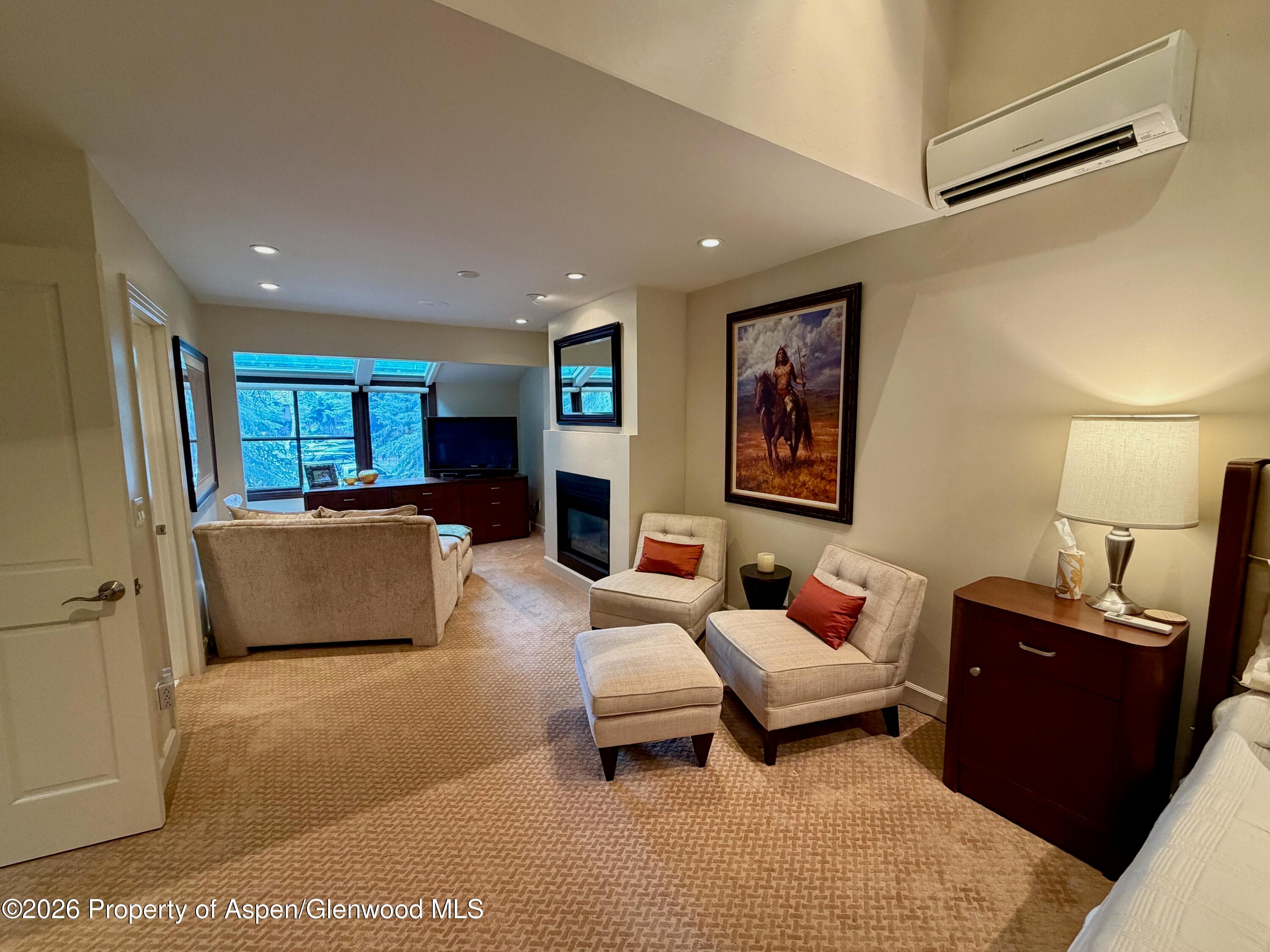 100 N 8th Street 7, Aspen, CO 81611 - Photo 12