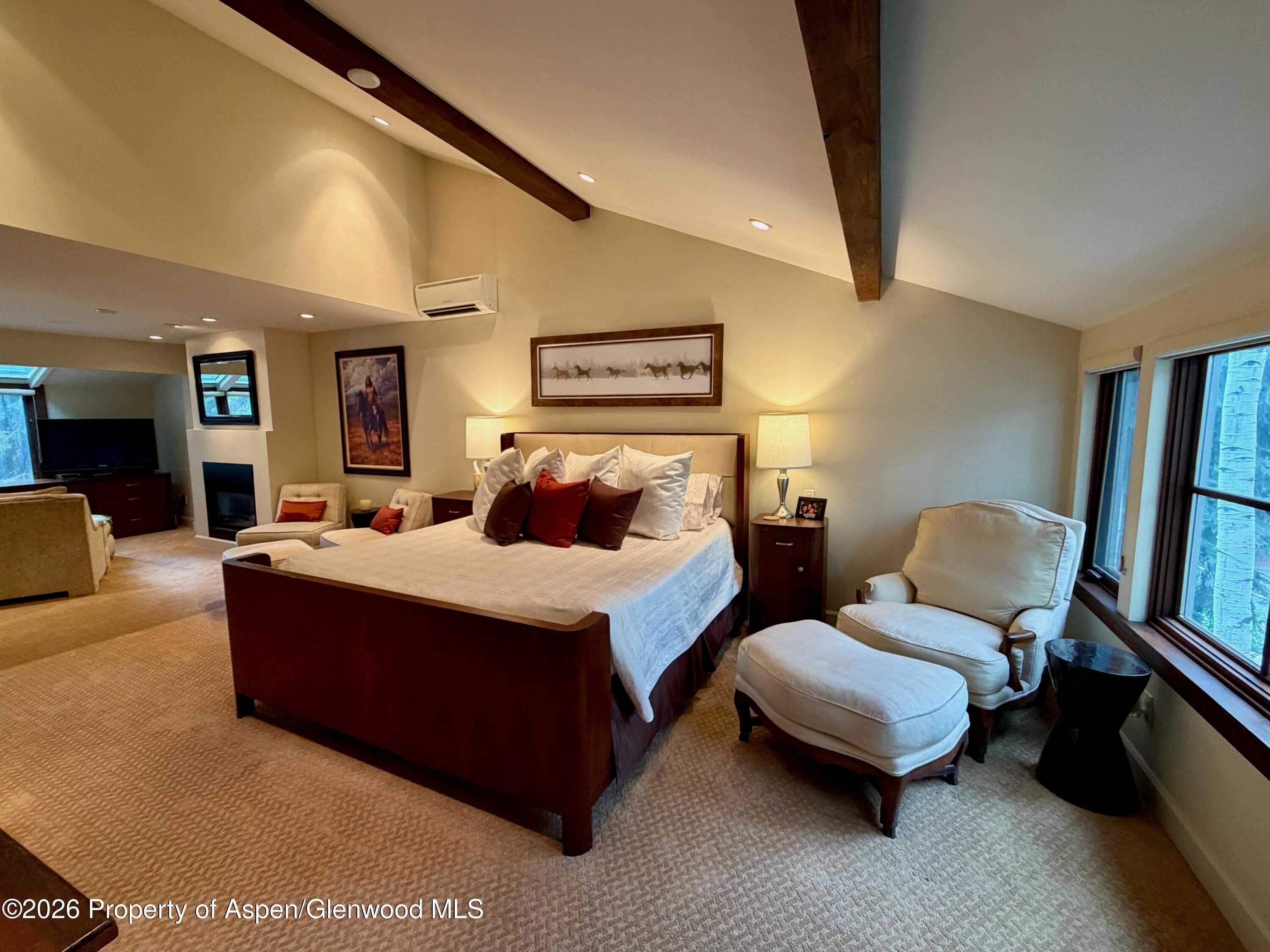 100 N 8th Street 7, Aspen, CO 81611 - Photo 13