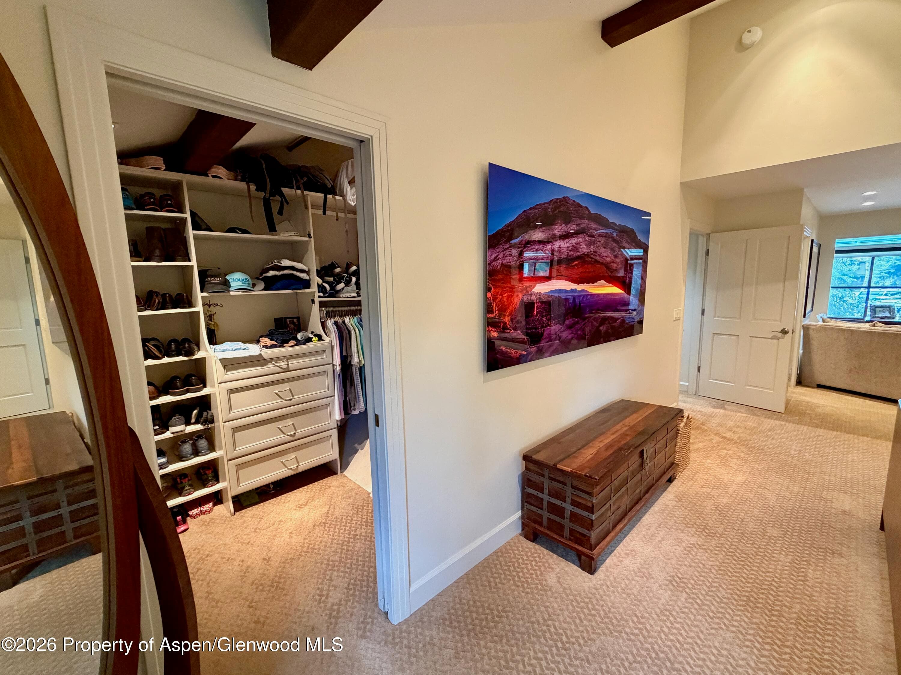100 N 8th Street 7, Aspen, CO 81611 - Photo 14