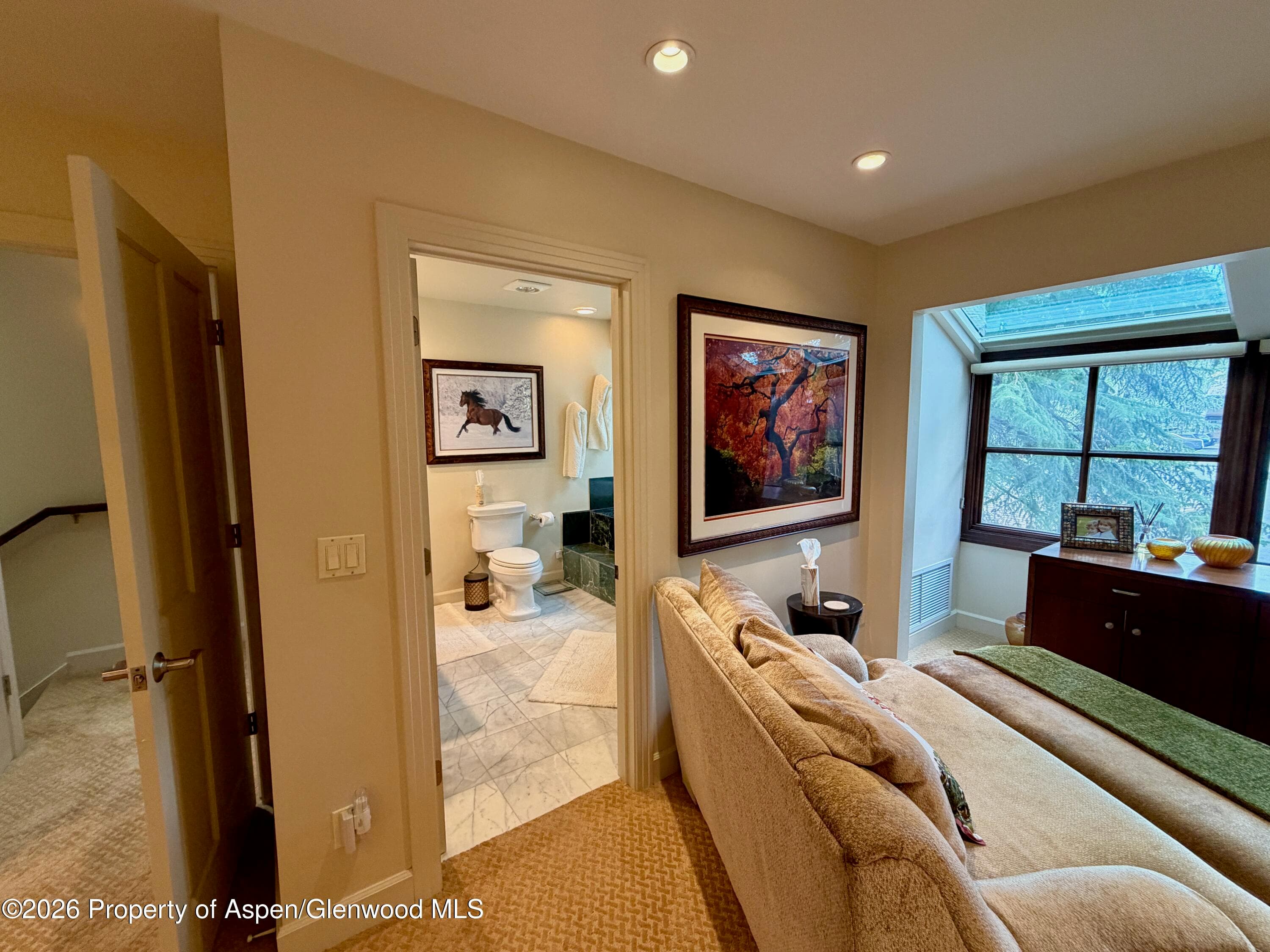 100 N 8th Street 7, Aspen, CO 81611 - Photo 15
