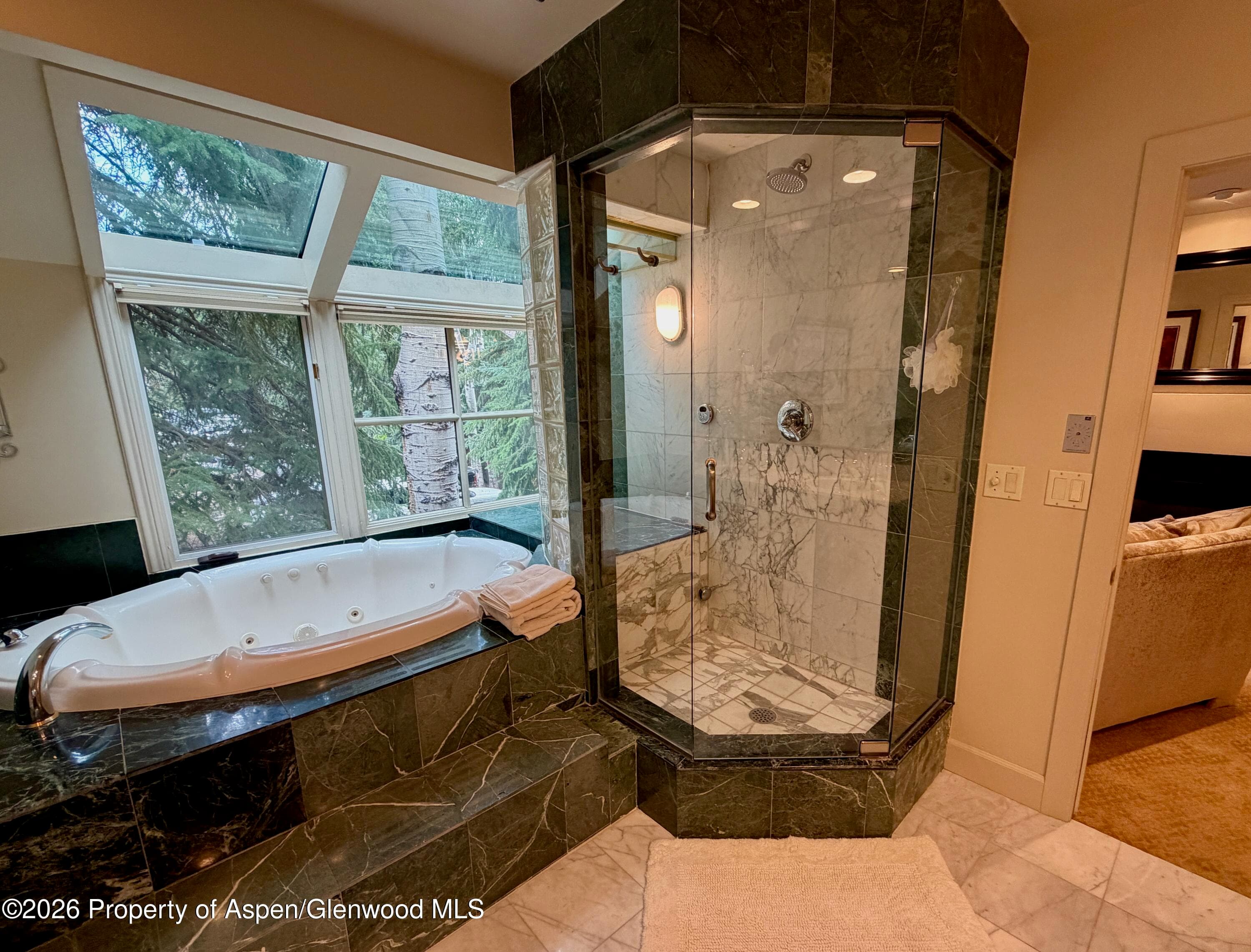 100 N 8th Street 7, Aspen, CO 81611 - Photo 16
