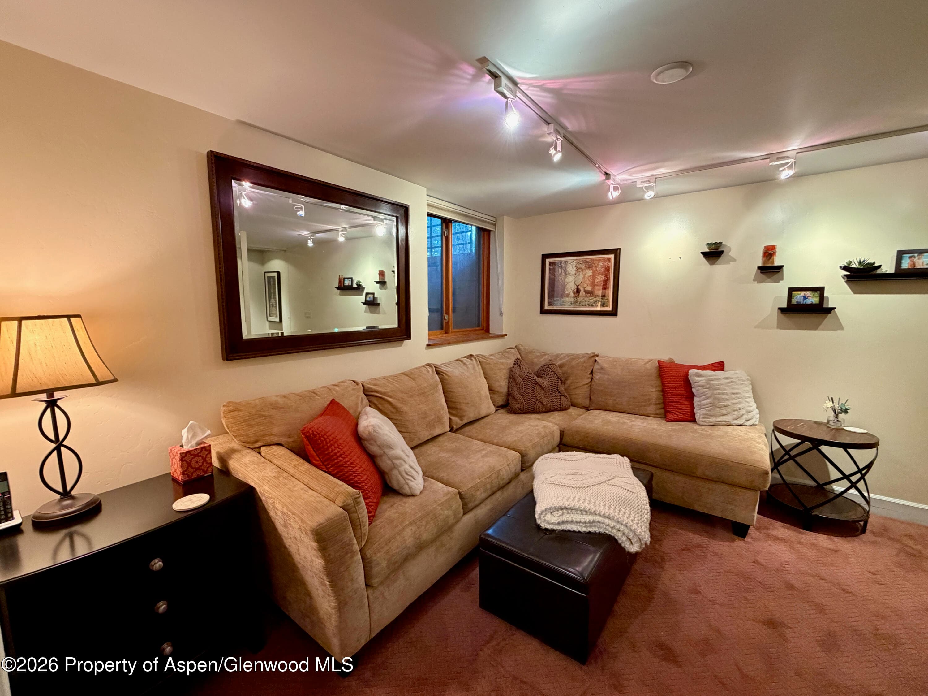 100 N 8th Street 7, Aspen, CO 81611 - Photo 18