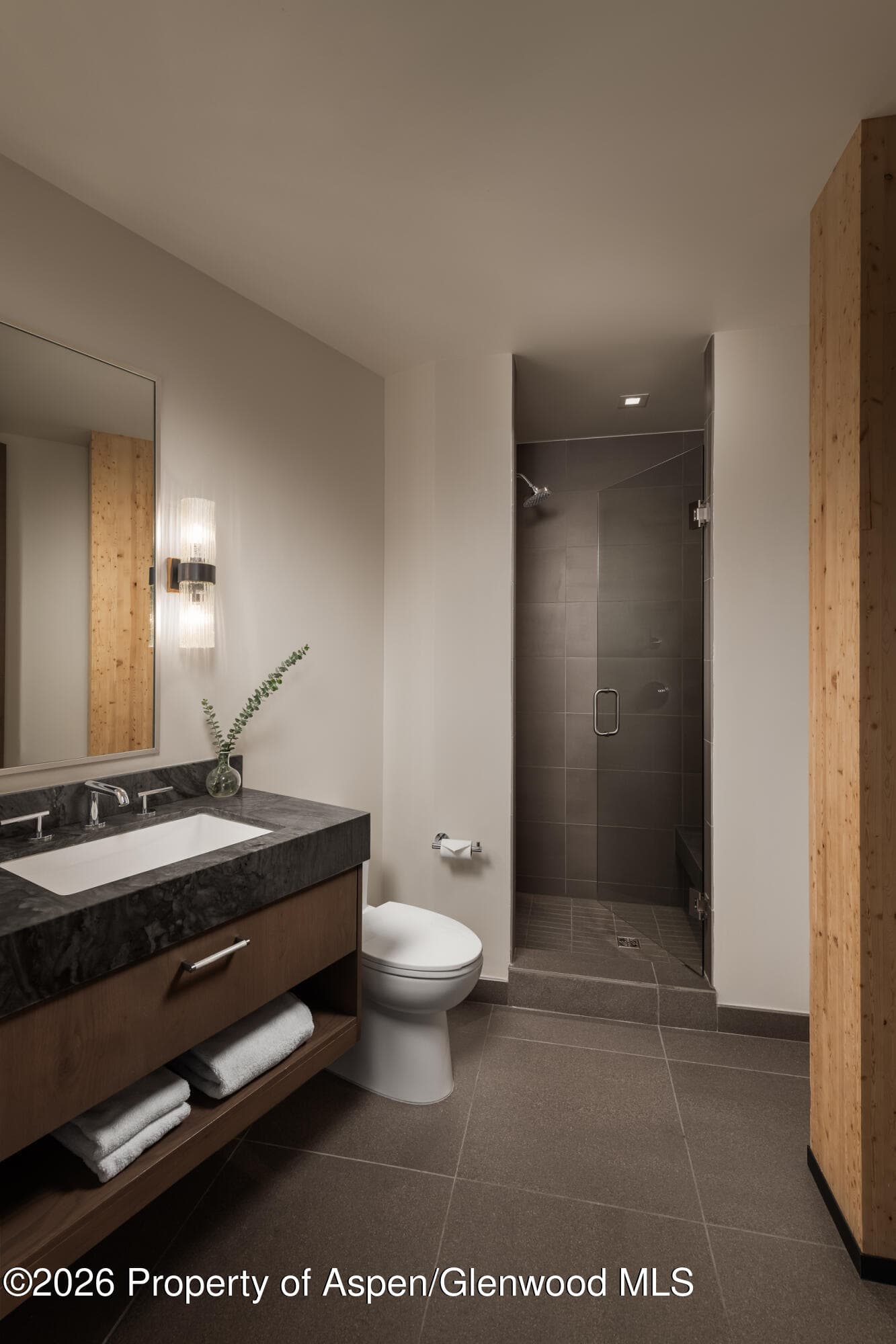 180 Wood Road Ph501, Snowmass Village, CO 81615 - Photo 16