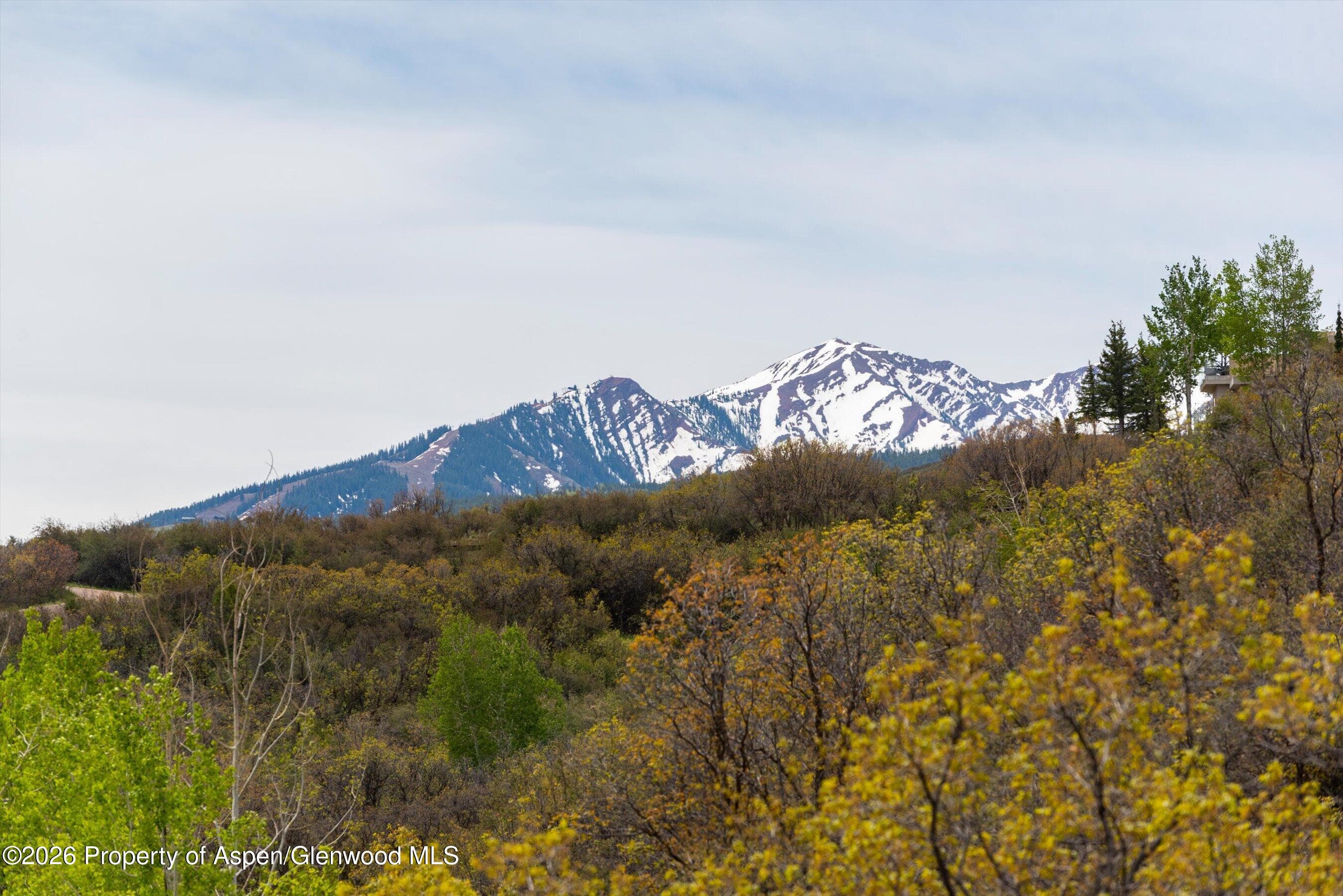 450 Solar Way, Aspen, CO 81611 - Photo 55