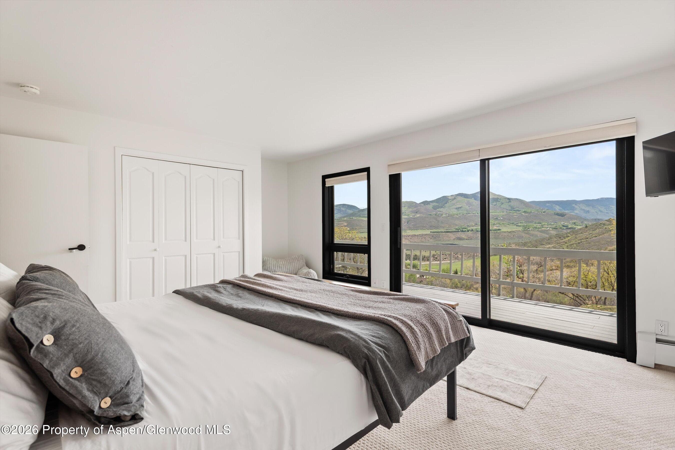 450 Solar Way, Aspen, CO 81611 - Photo 34