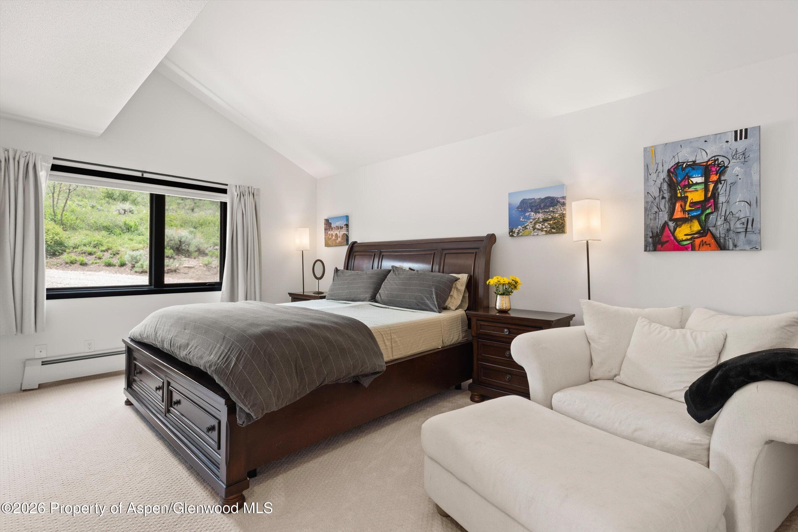 450 Solar Way, Aspen, CO 81611 - Photo 36