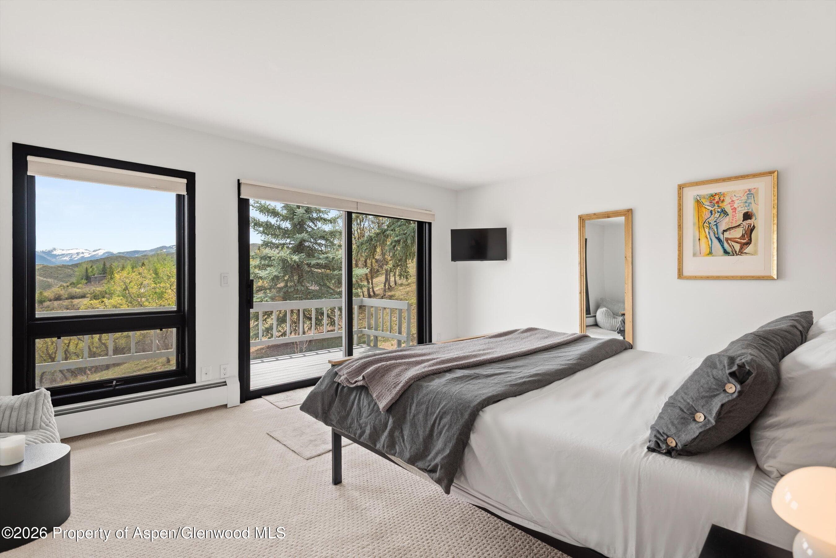 450 Solar Way, Aspen, CO 81611 - Photo 33