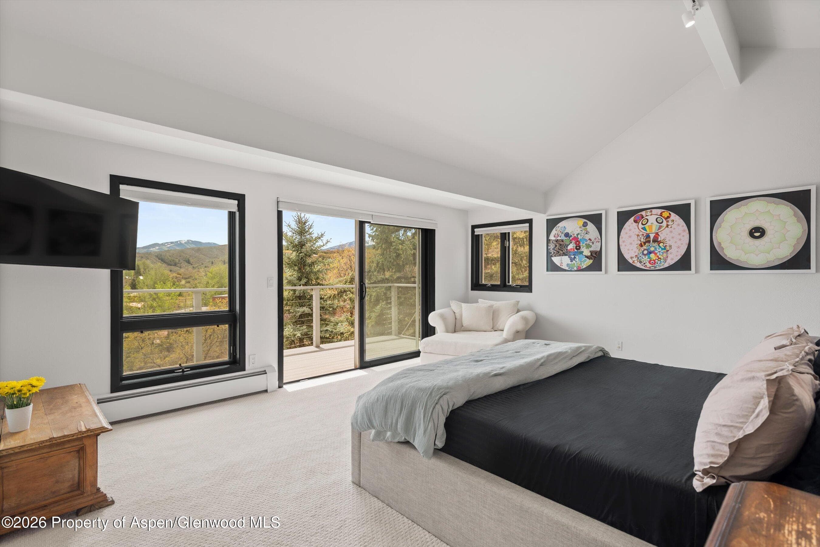 450 Solar Way, Aspen, CO 81611 - Photo 25