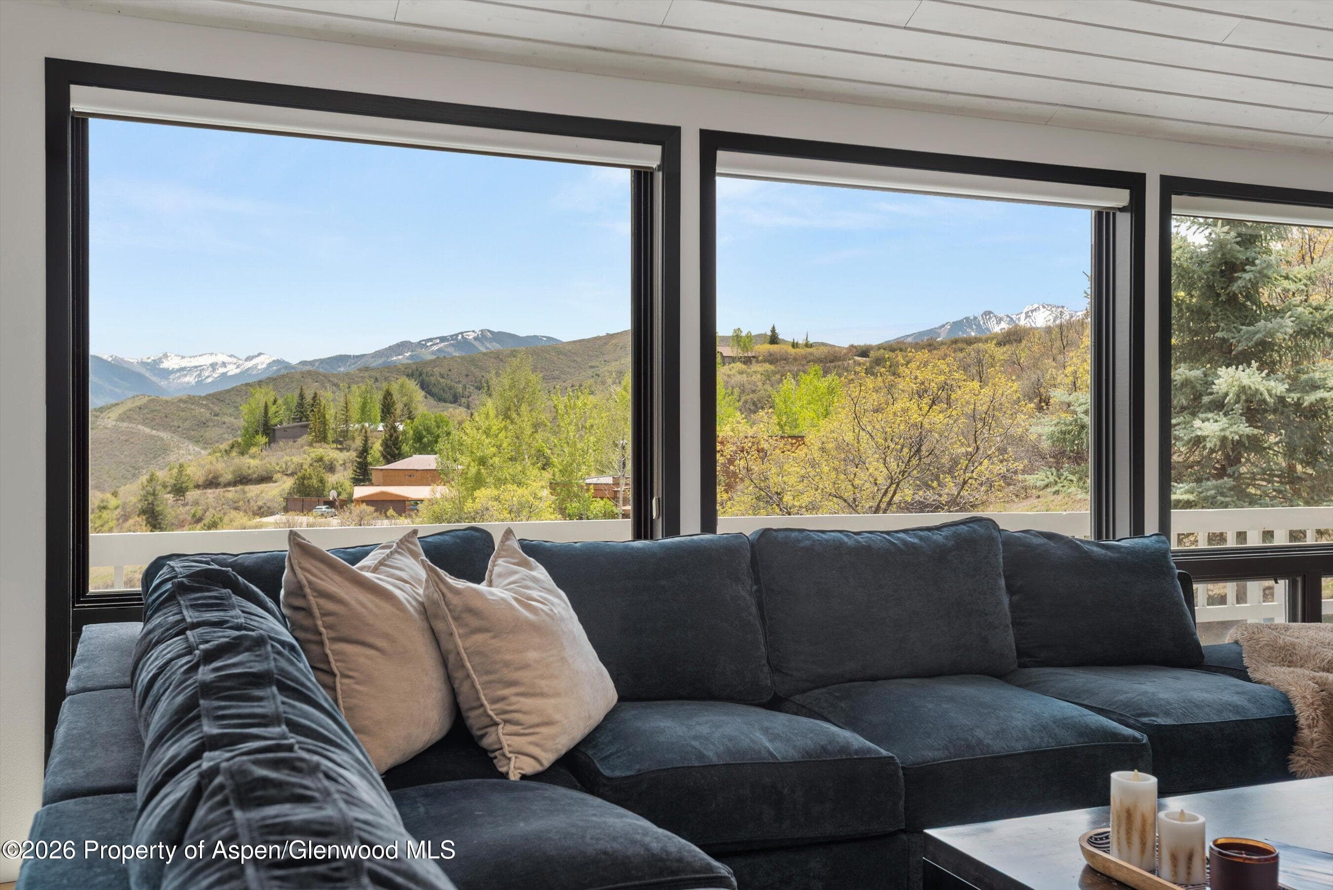 450 Solar Way, Aspen, CO 81611 - Photo 10