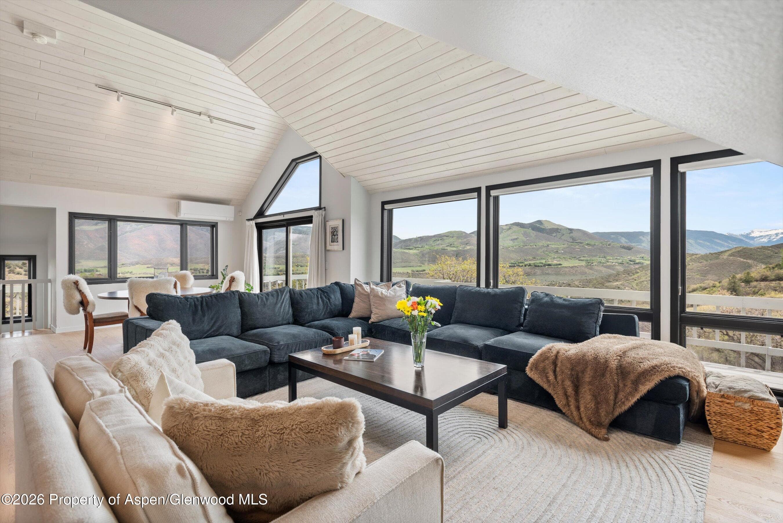 450 Solar Way, Aspen, CO 81611 - Photo 5
