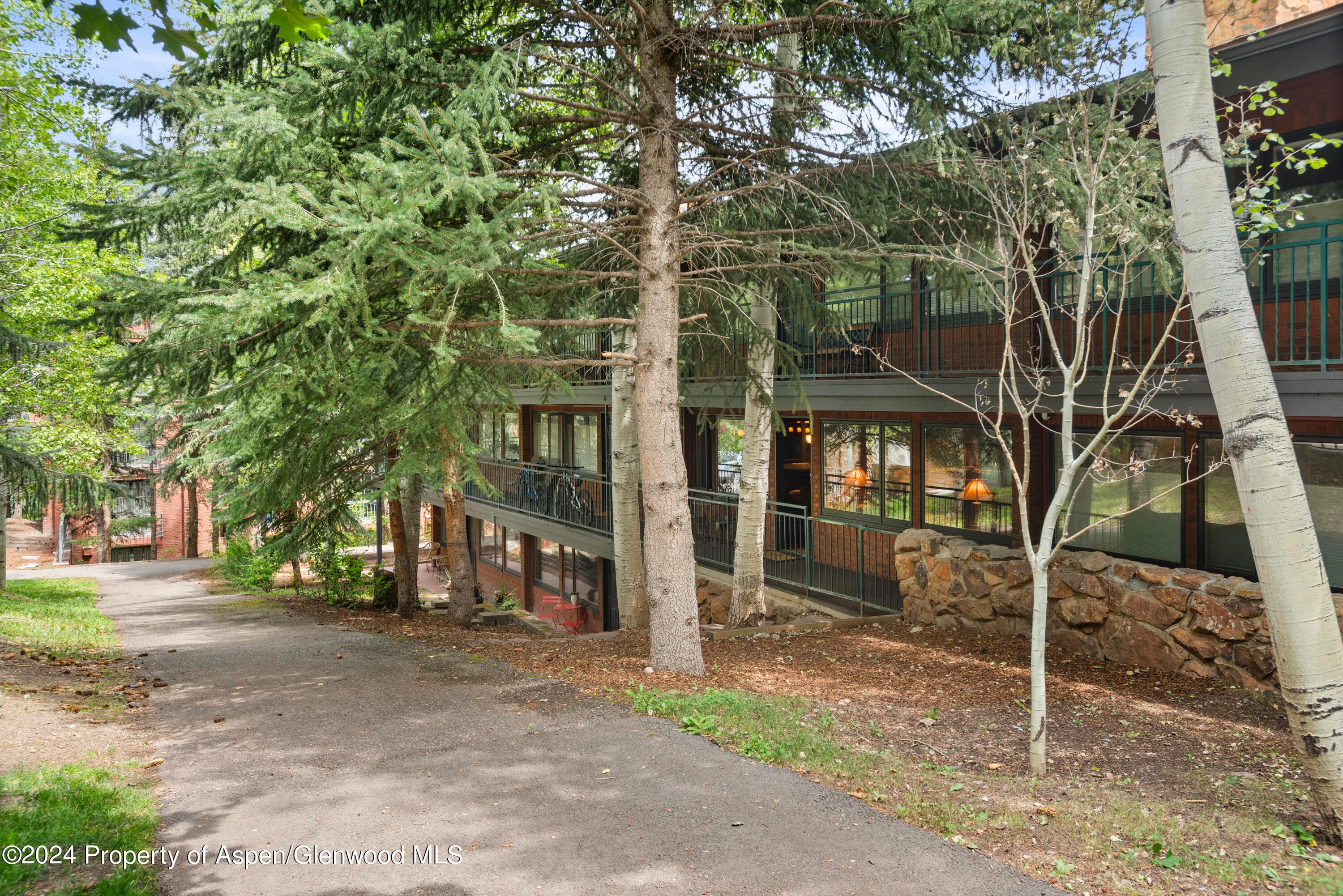731 S Mill Street 2c, Aspen, CO 81611