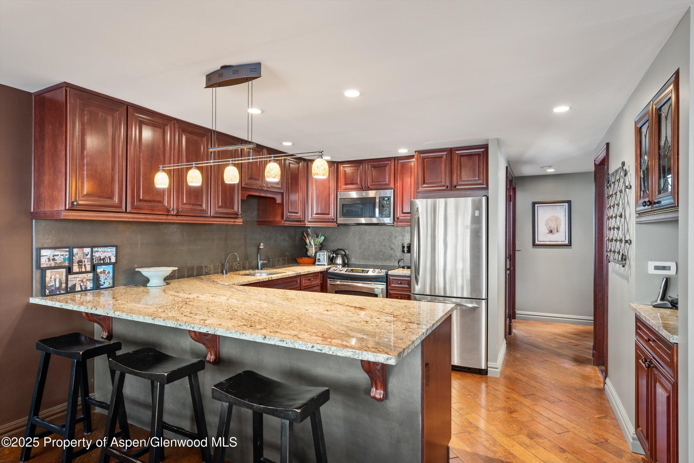 731 S Mill Street 2c, Aspen, CO 81611 - Photo 2
