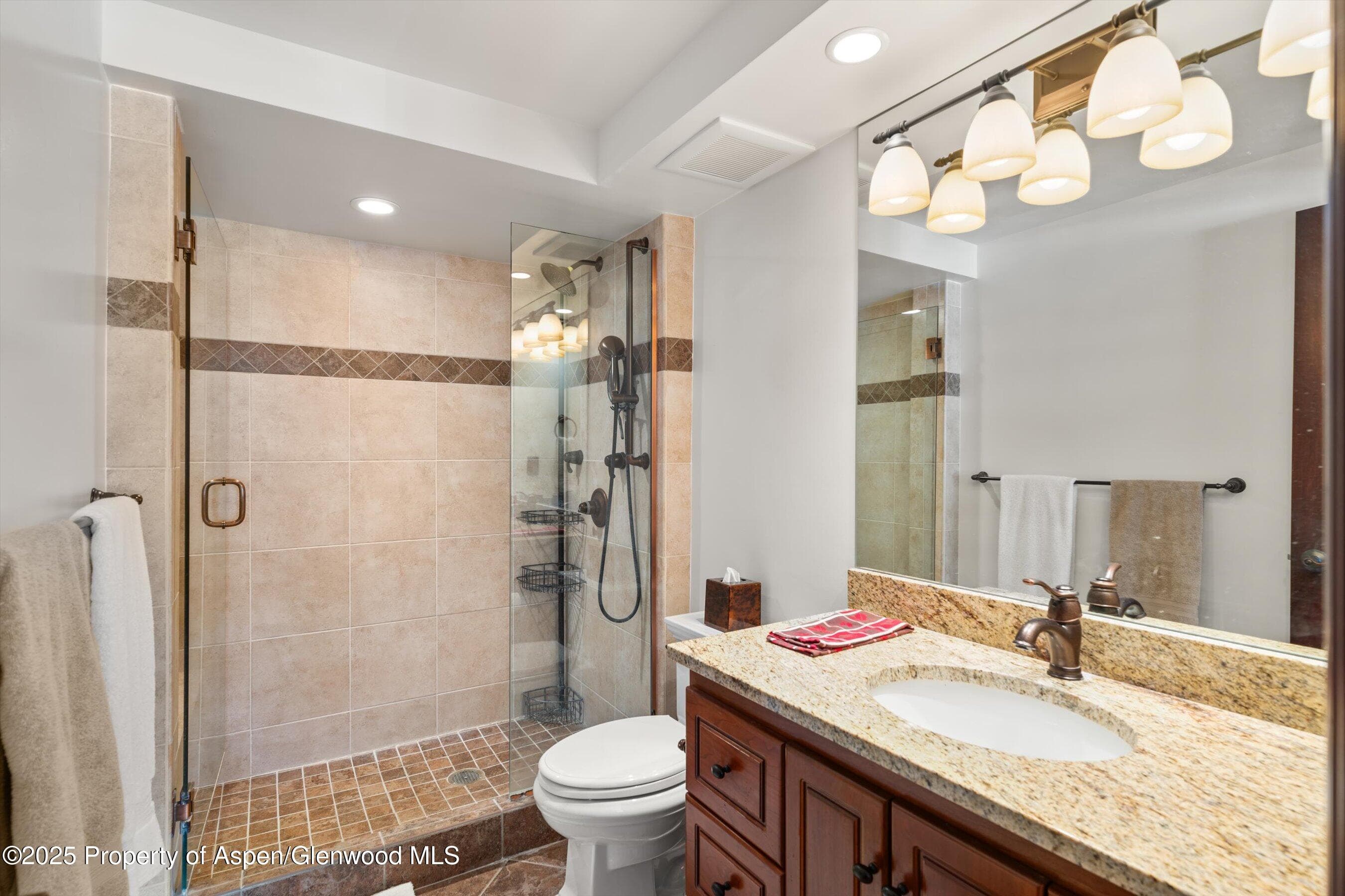 731 S Mill Street 2c, Aspen, CO 81611 - Photo 10