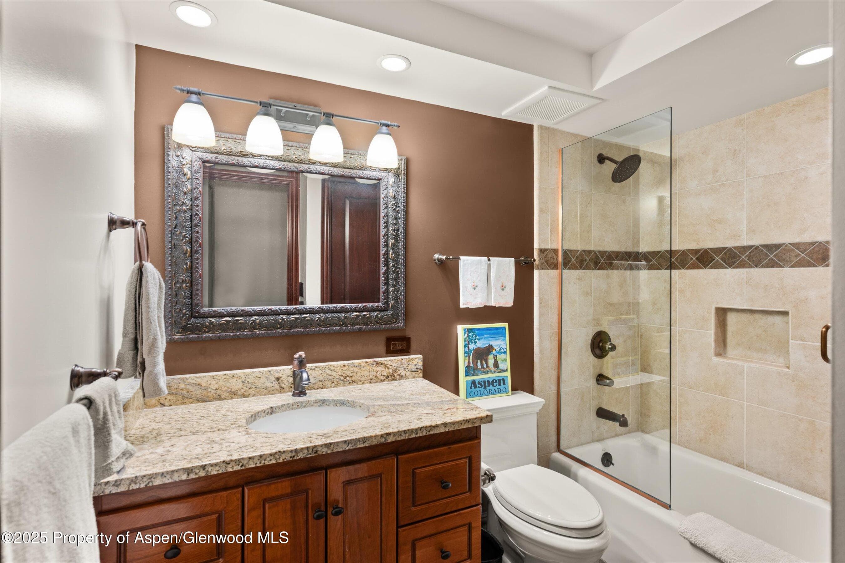 731 S Mill Street 2c, Aspen, CO 81611 - Photo 11