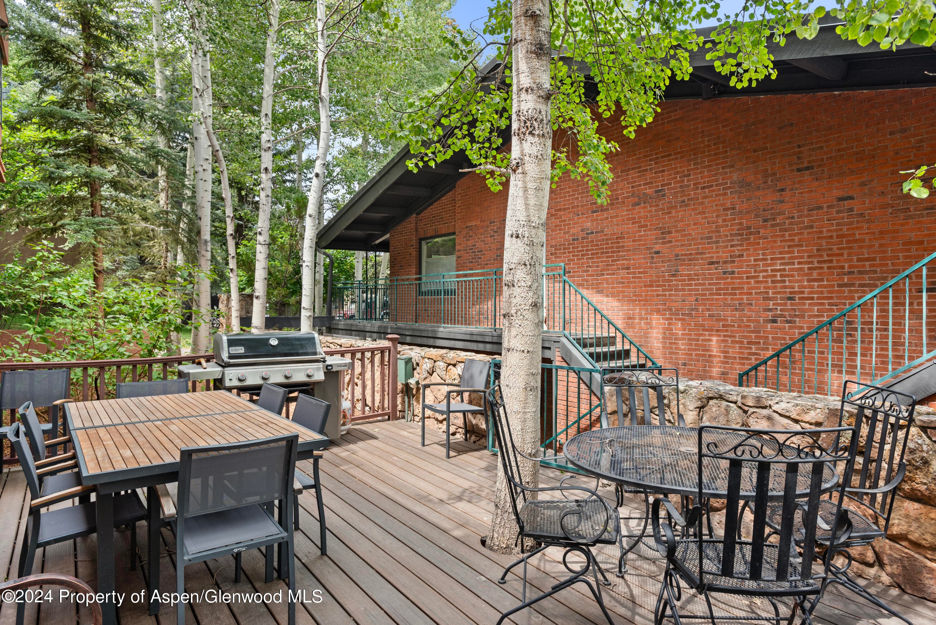 731 S Mill Street 2c, Aspen, CO 81611 - Photo 12