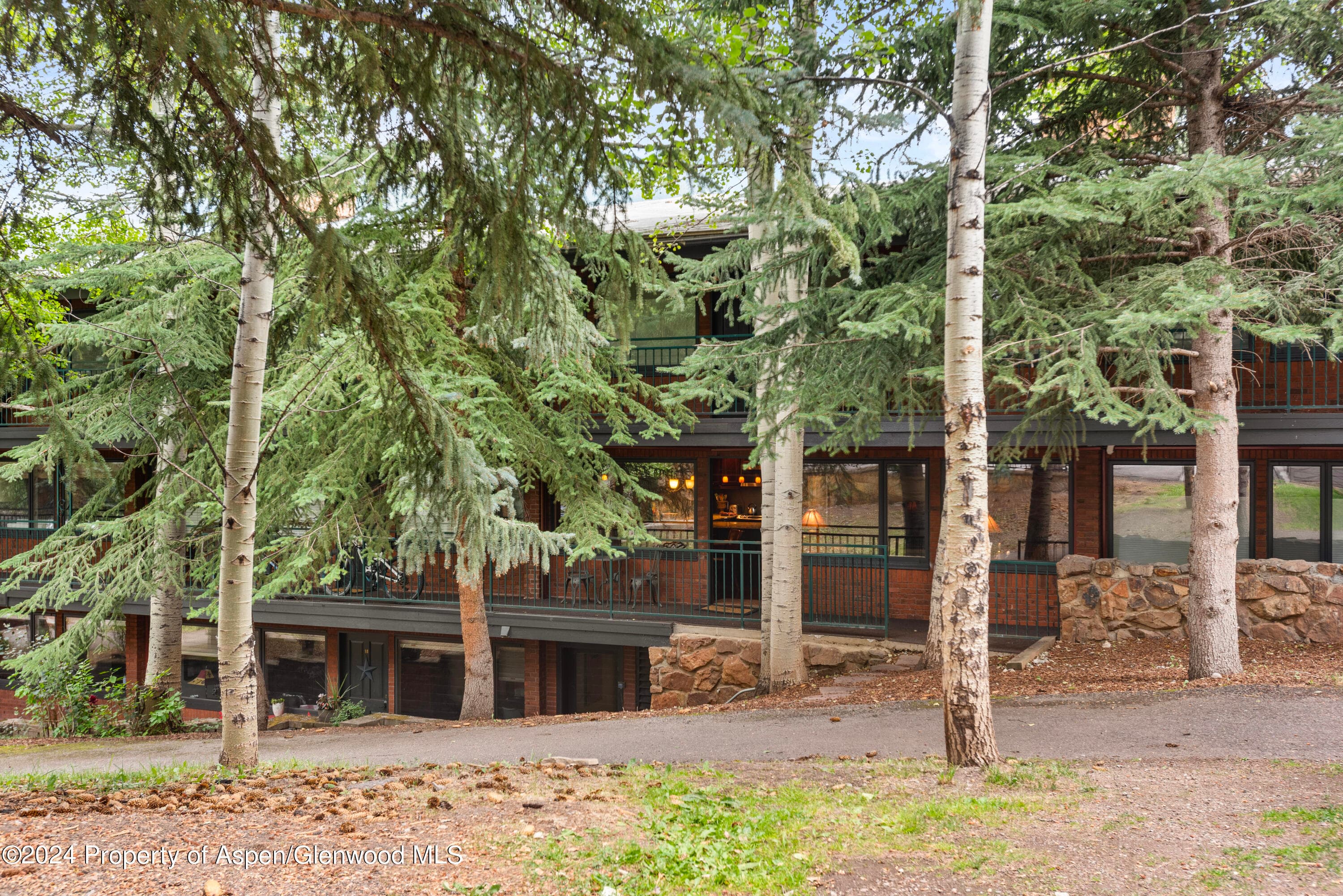 731 S Mill Street 2c, Aspen, CO 81611 - Photo 14