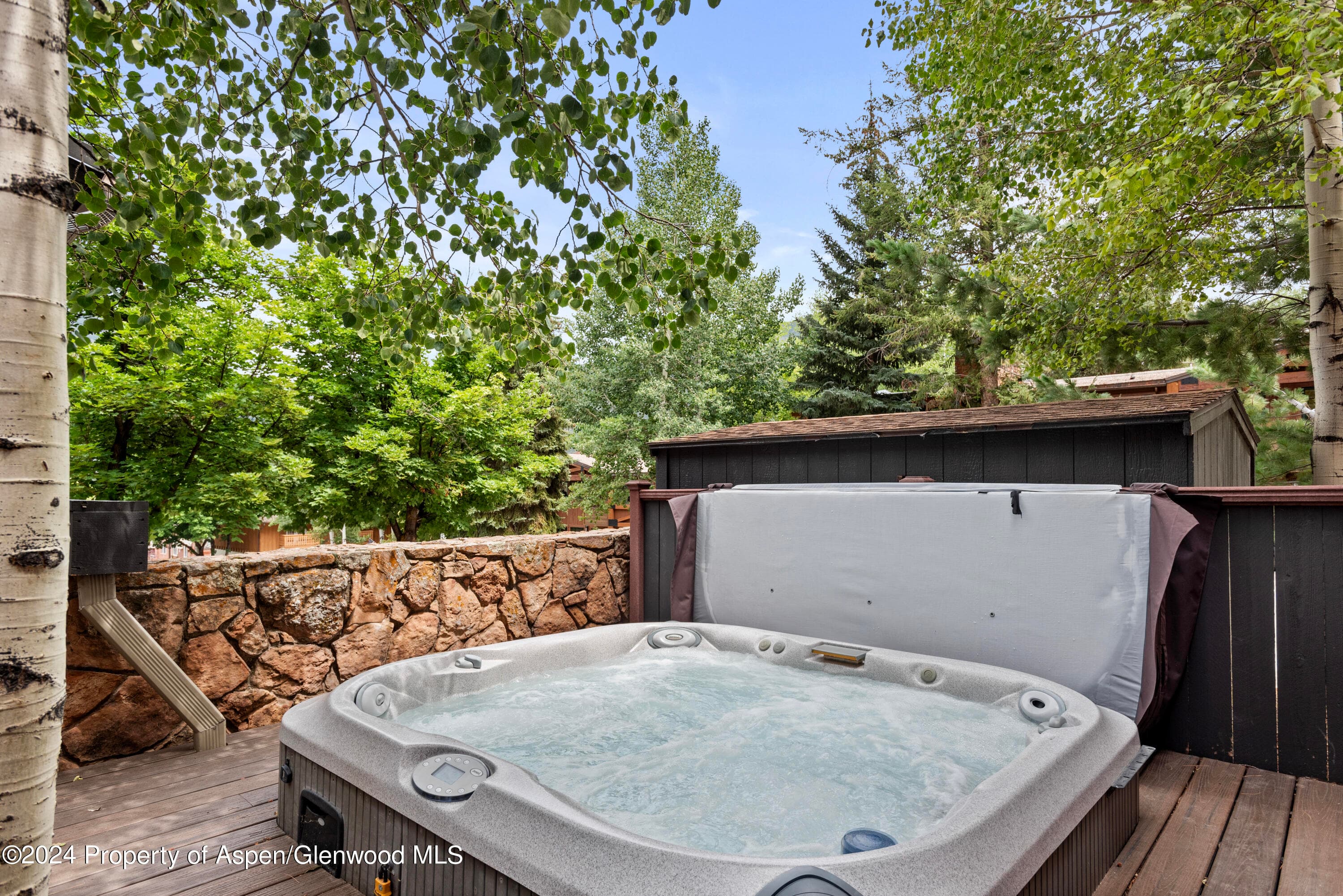 731 S Mill Street 2c, Aspen, CO 81611 - Photo 15