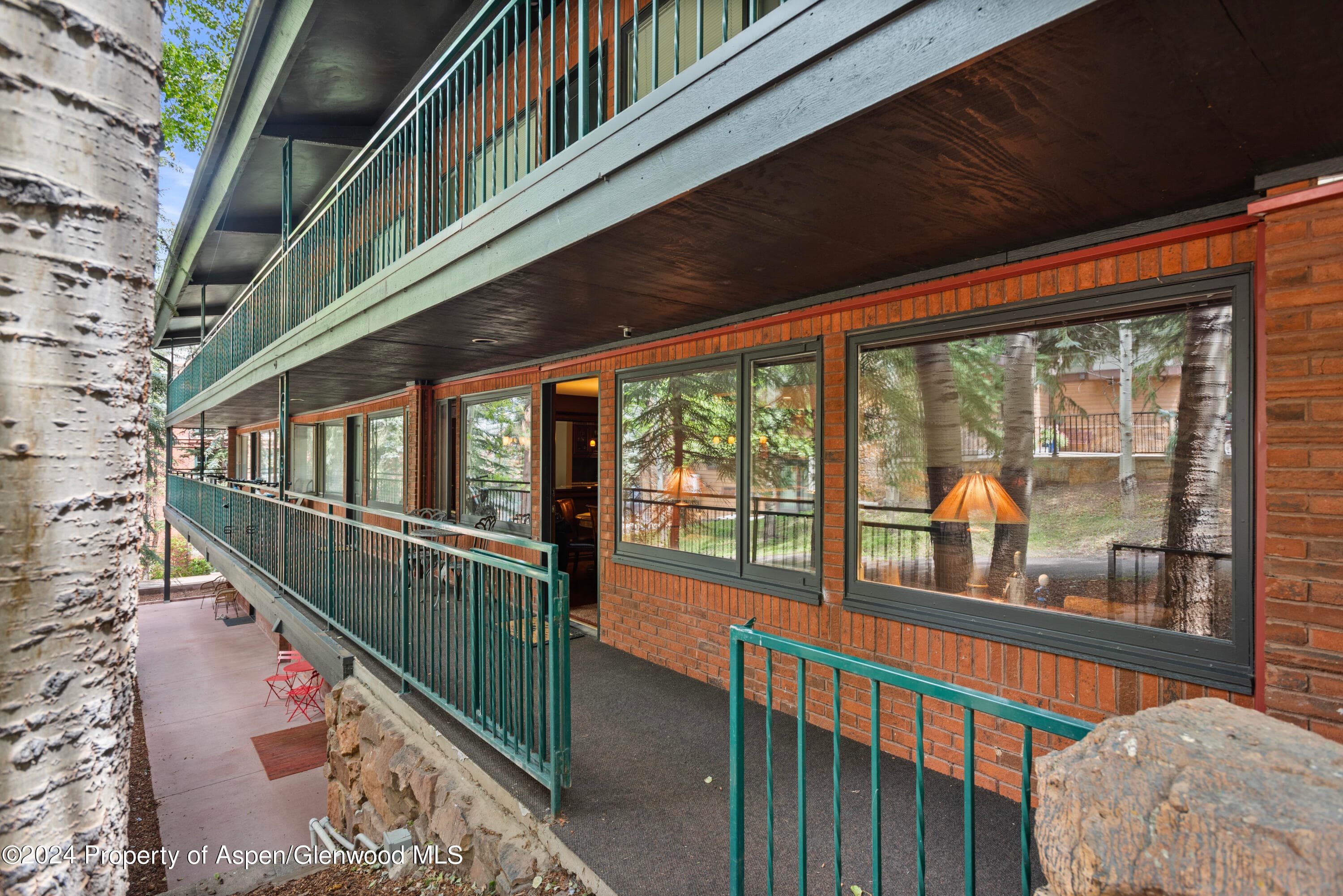 731 S Mill Street 2c, Aspen, CO 81611 - Photo 18
