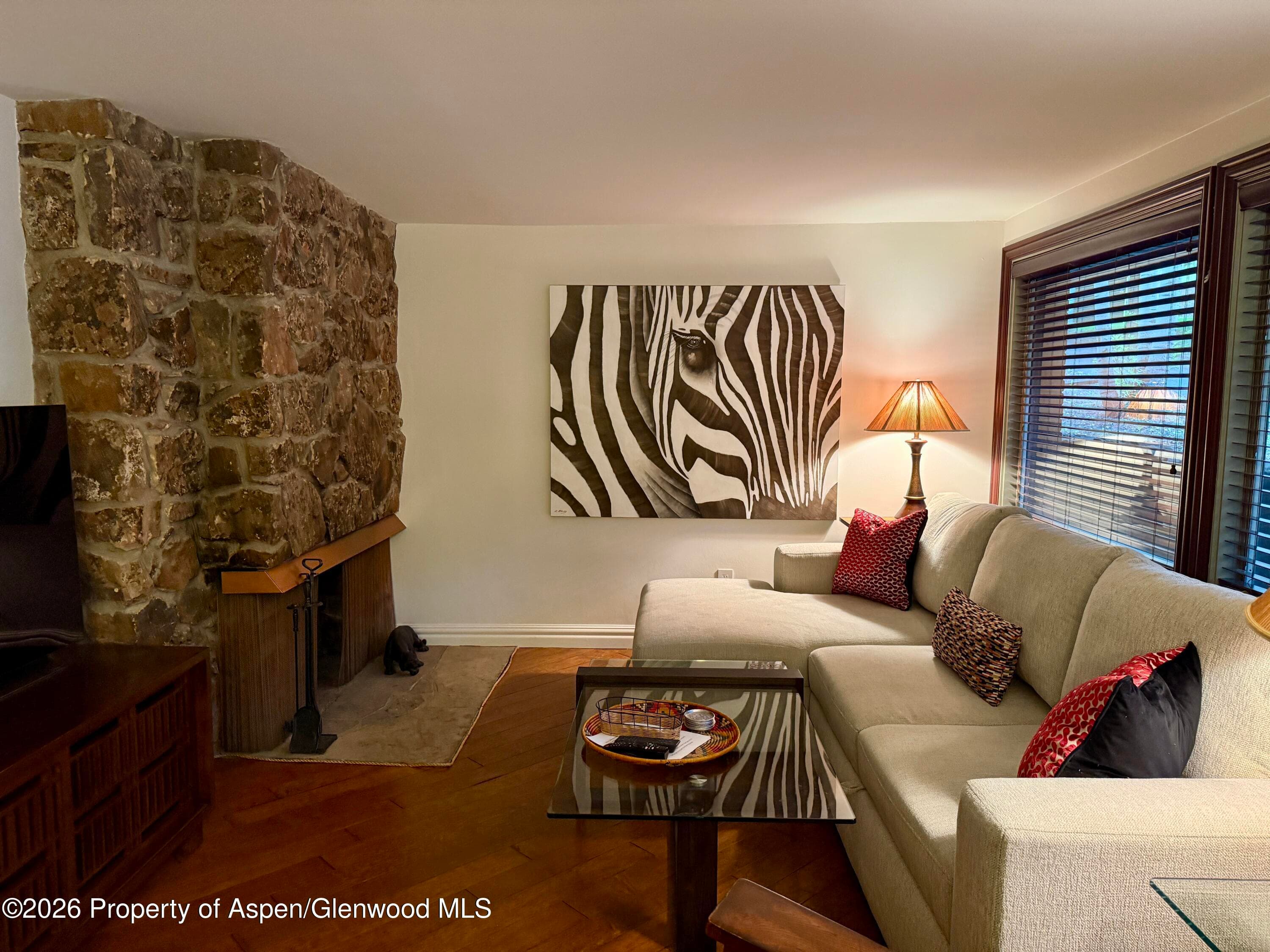731 S Mill Street 2c, Aspen, CO 81611 - Photo 5