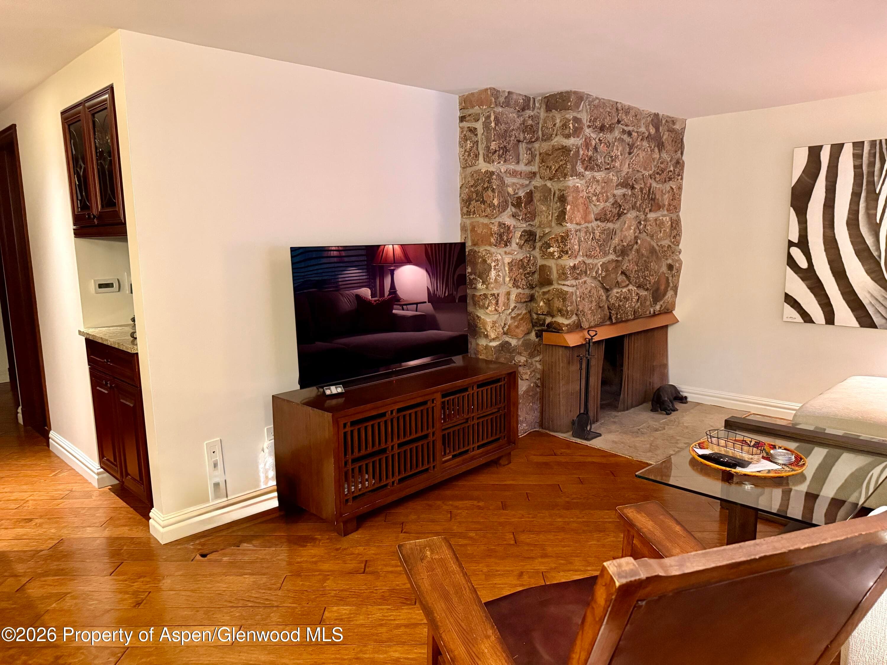 731 S Mill Street 2c, Aspen, CO 81611 - Photo 6