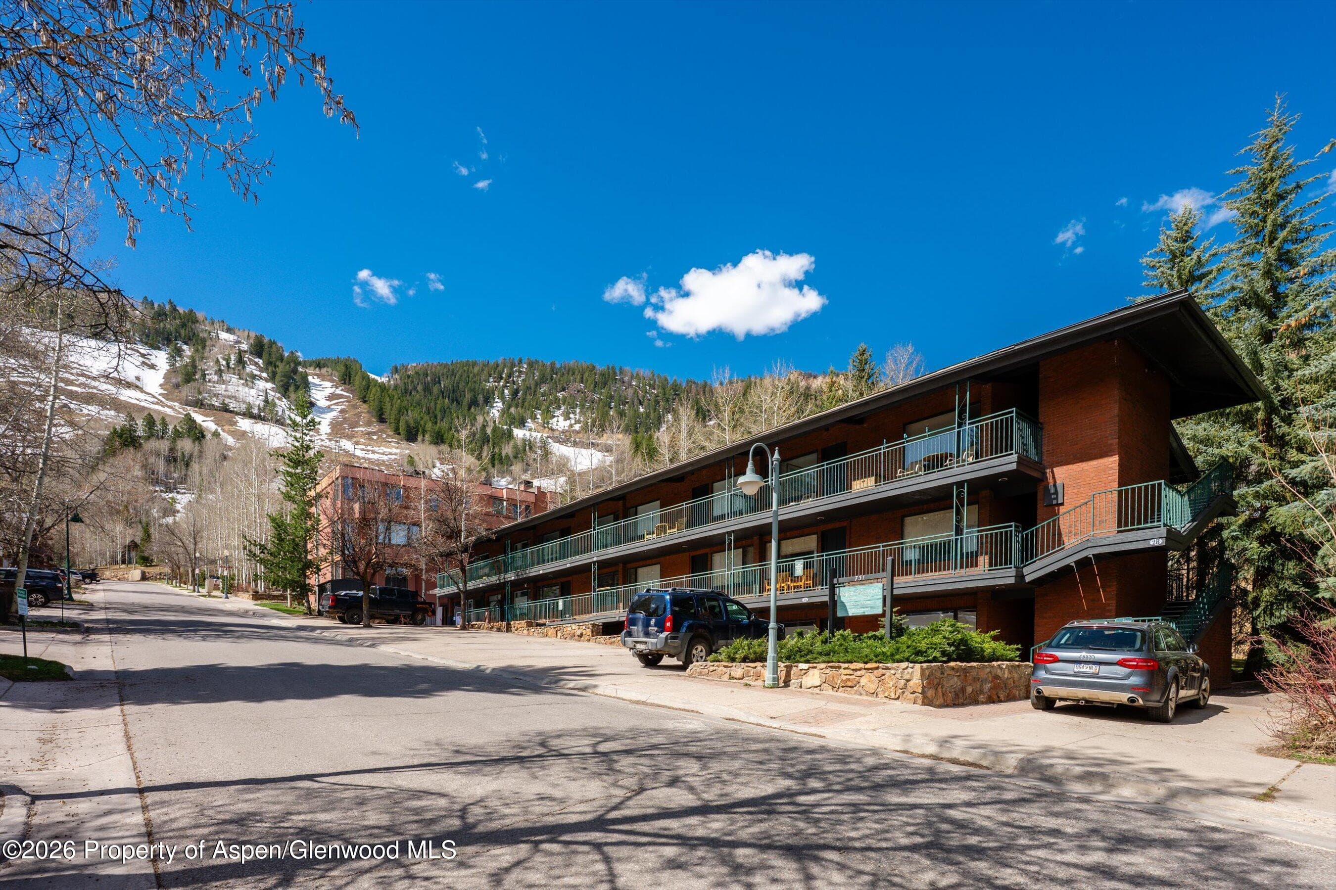 731 S Mill Street 2c, Aspen, CO 81611 - Photo 13