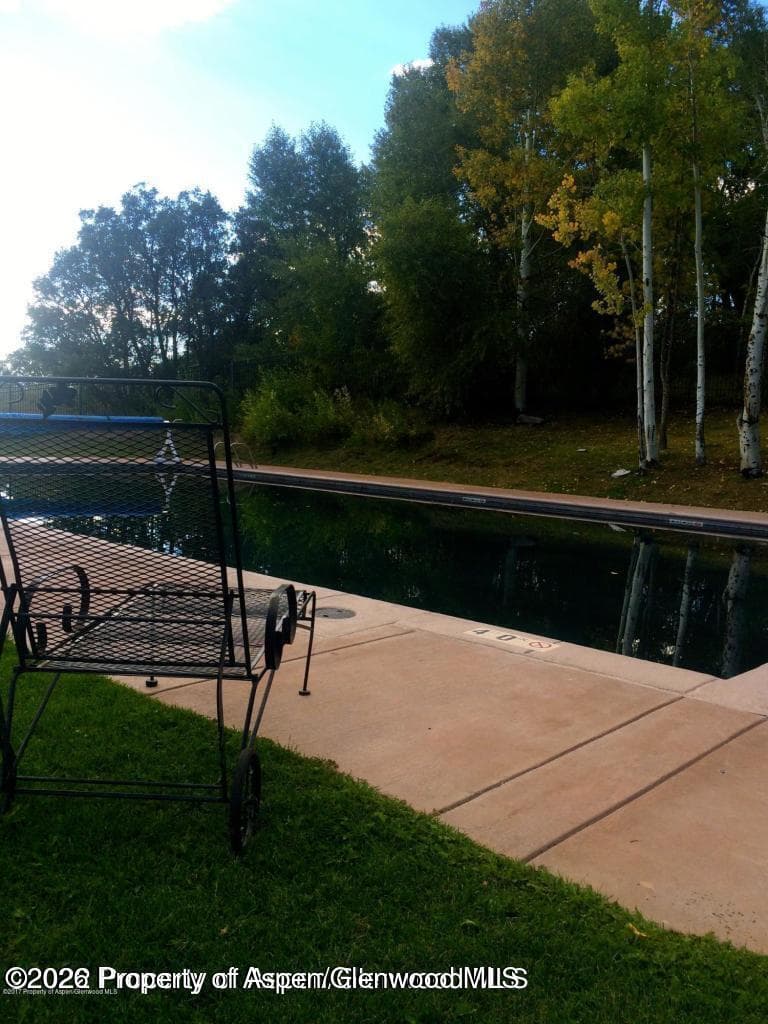 306 Green Meadow Drive, Carbondale, CO 81623 - Photo 25