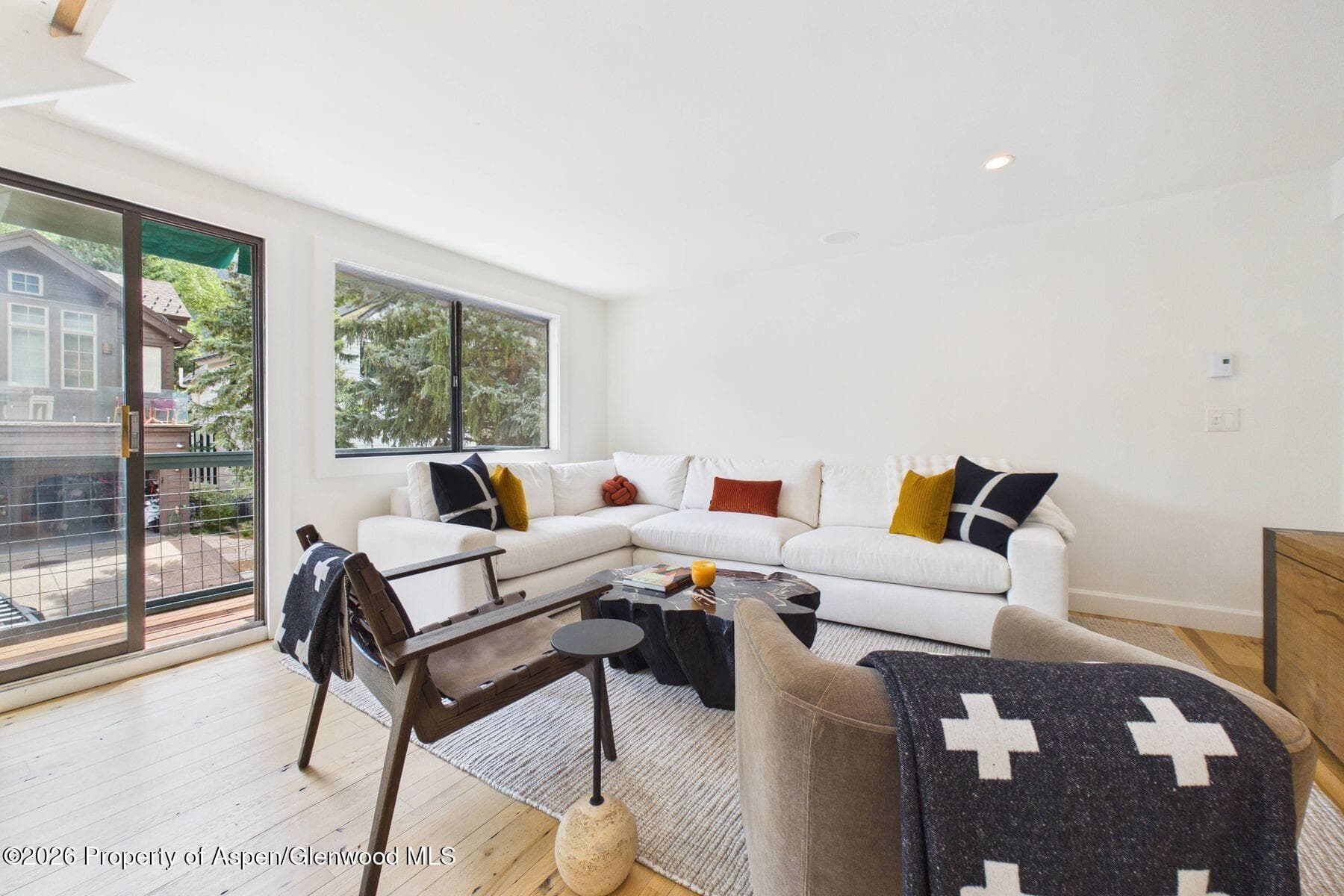915 E Hopkins Avenue 4, Aspen, CO 81611 - Photo 3