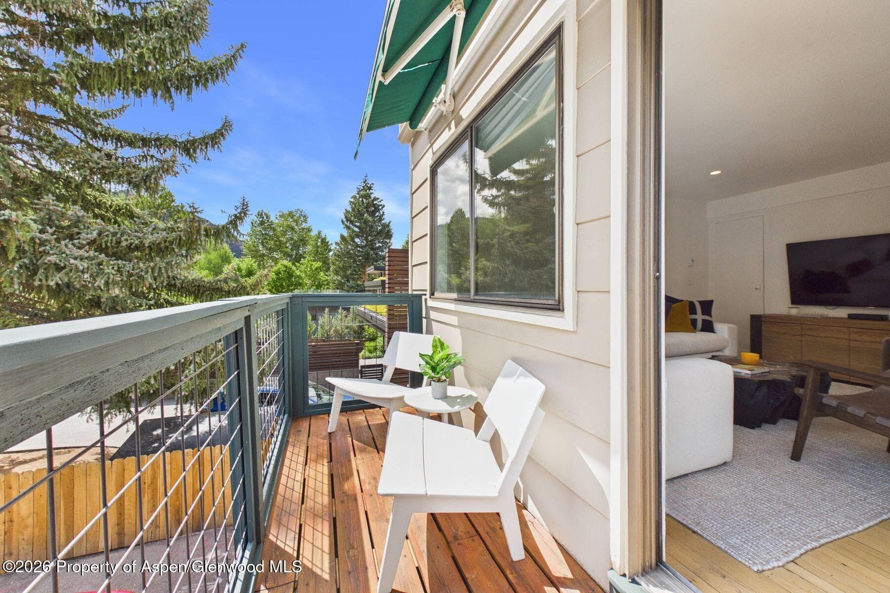 915 E Hopkins Avenue 4, Aspen, CO 81611 - Photo 4