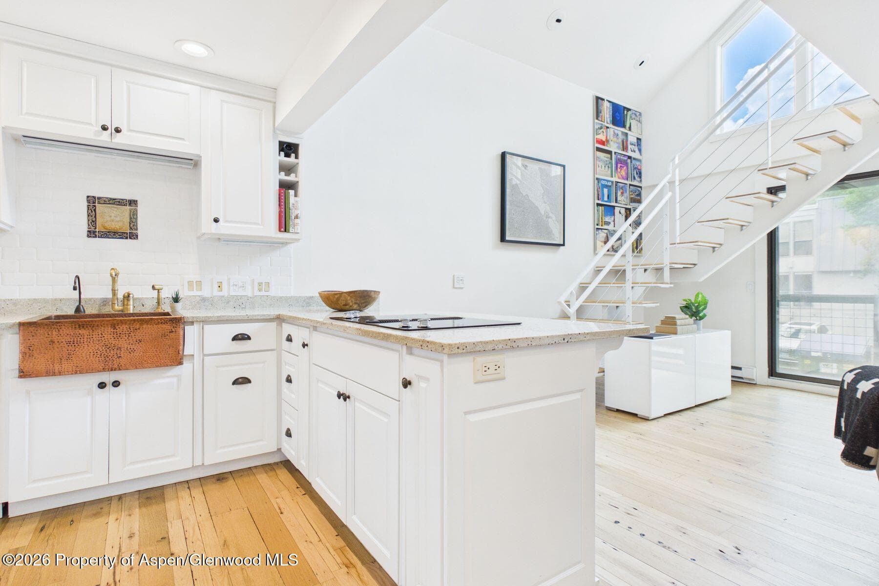 915 E Hopkins Avenue 4, Aspen, CO 81611 - Photo 7