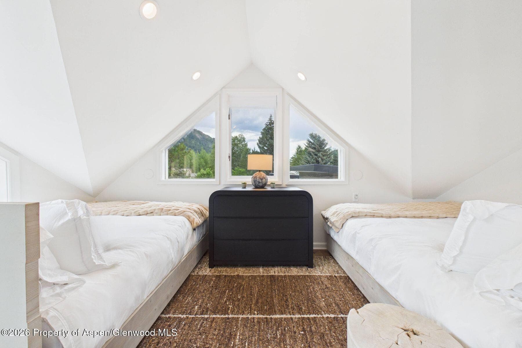 915 E Hopkins Avenue 4, Aspen, CO 81611 - Photo 17