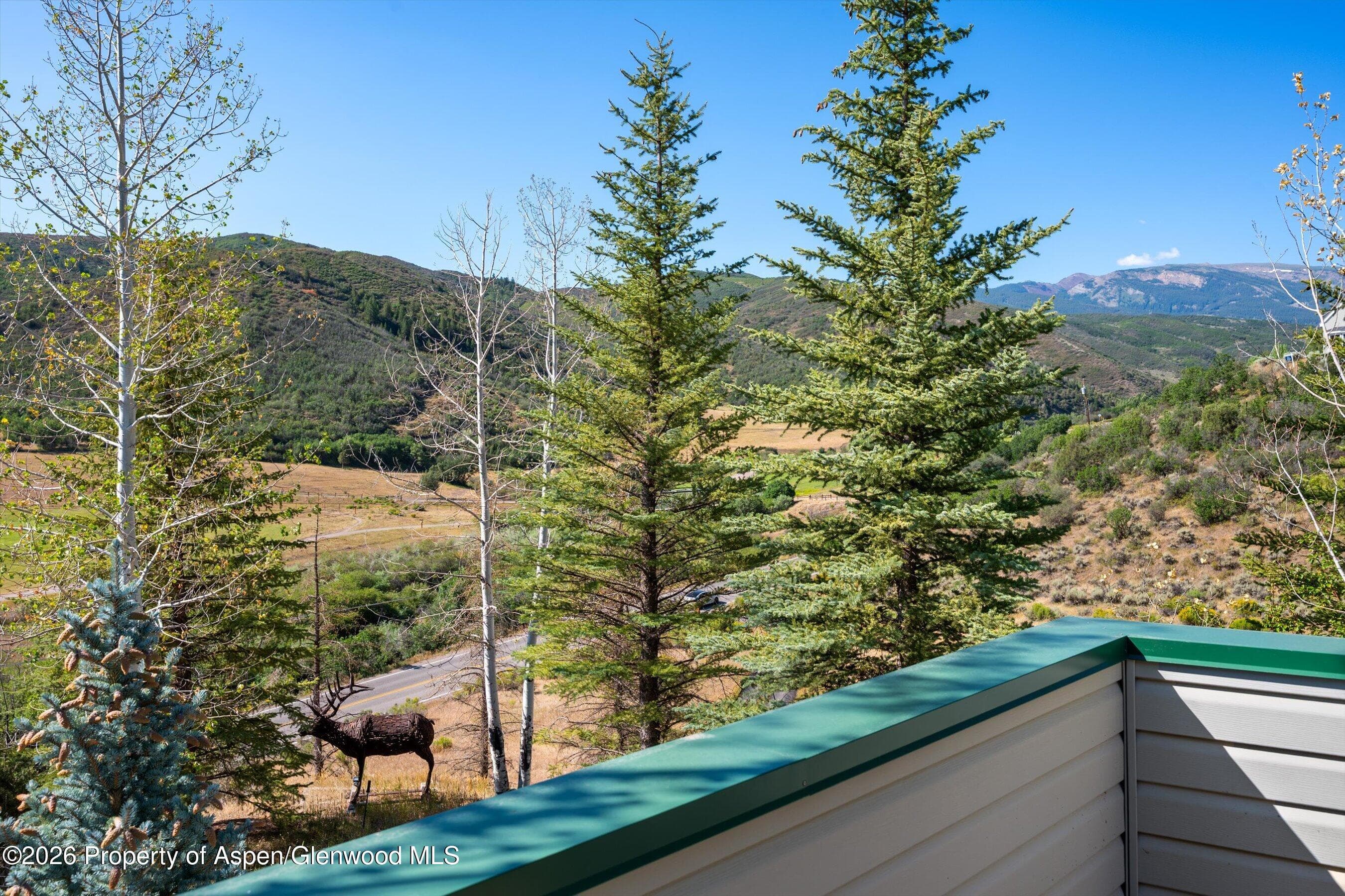 553 Brush Creek Road, Aspen, CO 81611 - Photo 10