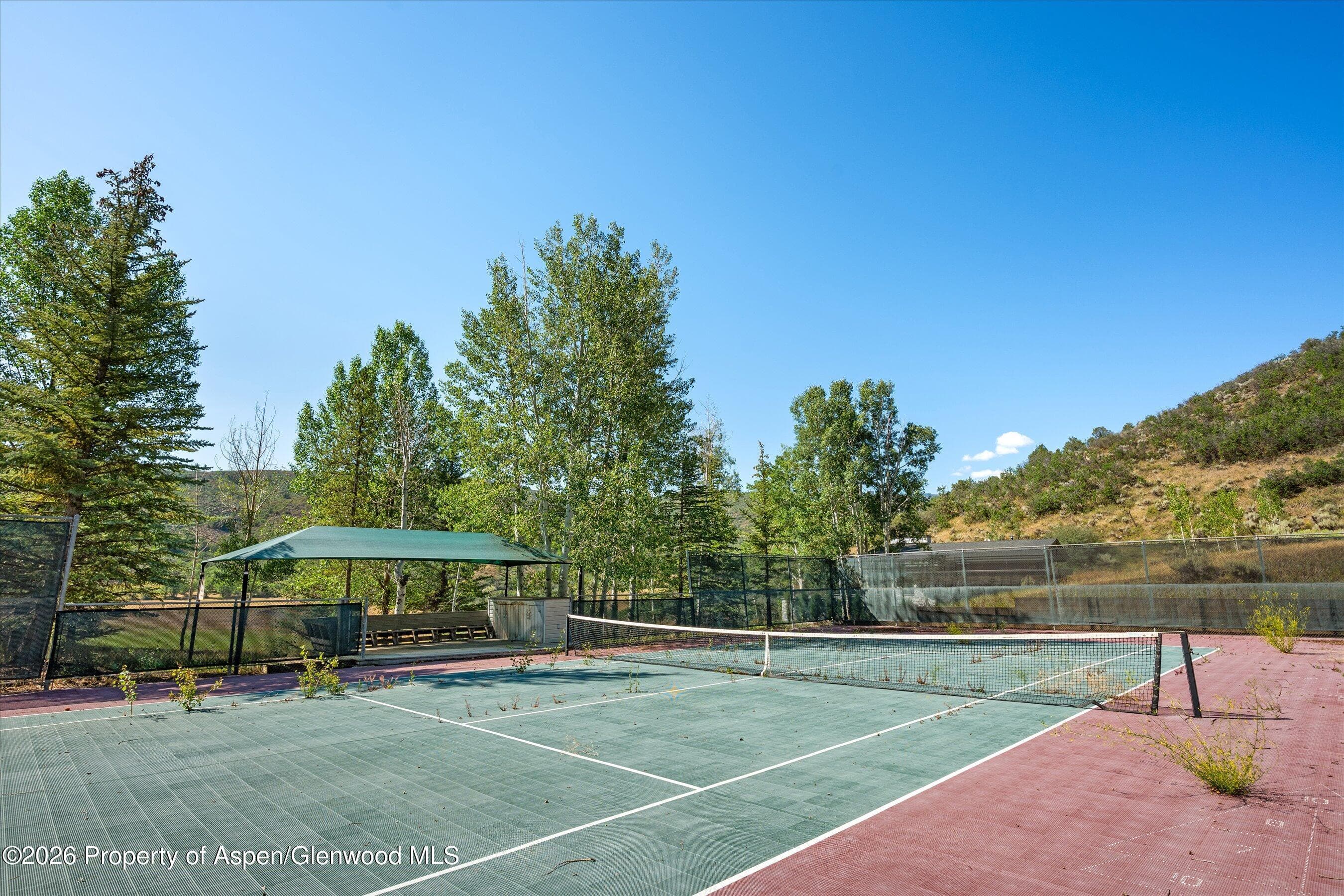 553 Brush Creek Road, Aspen, CO 81611 - Photo 12