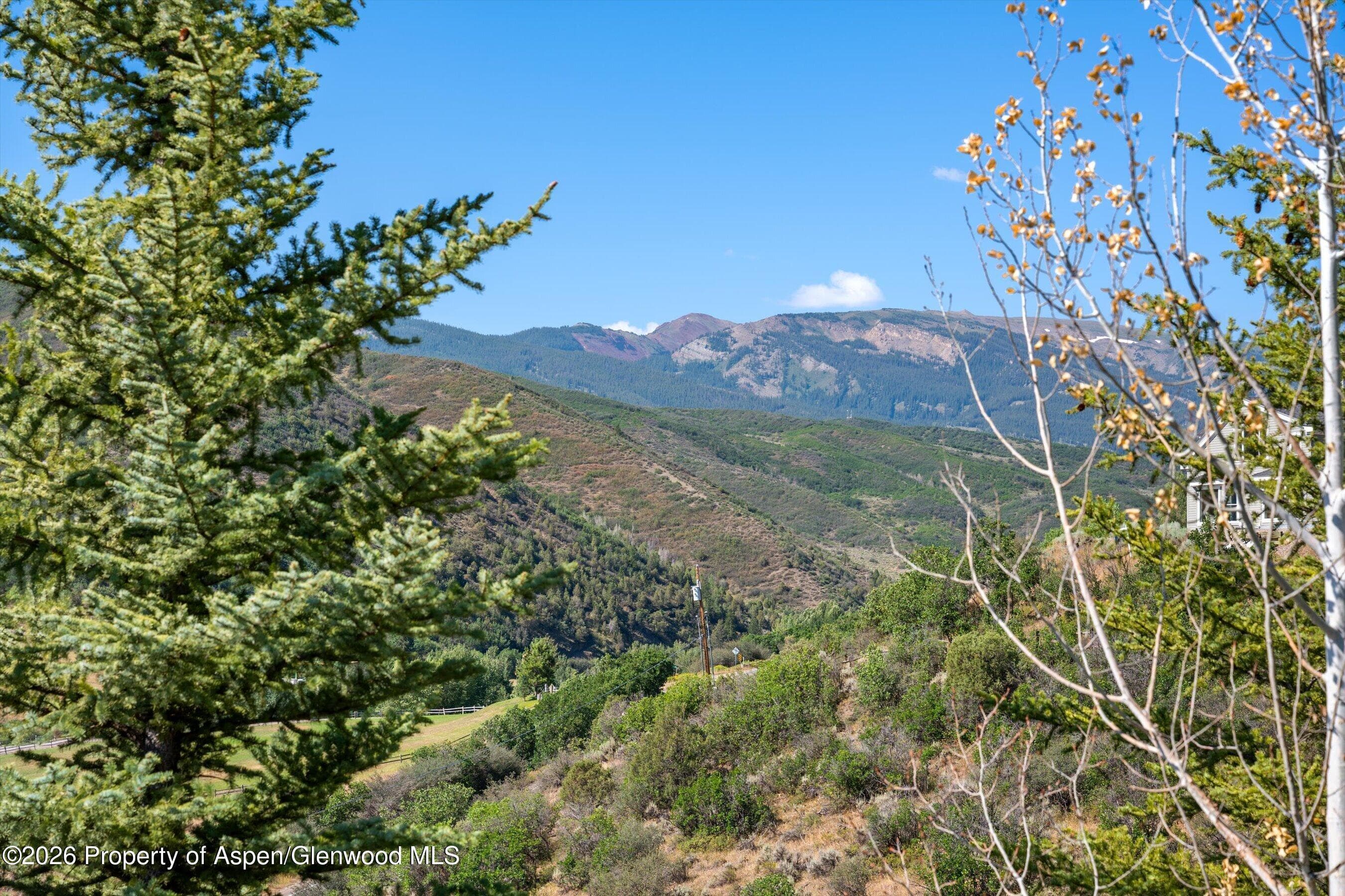 553 Brush Creek Road, Aspen, CO 81611 - Photo 18