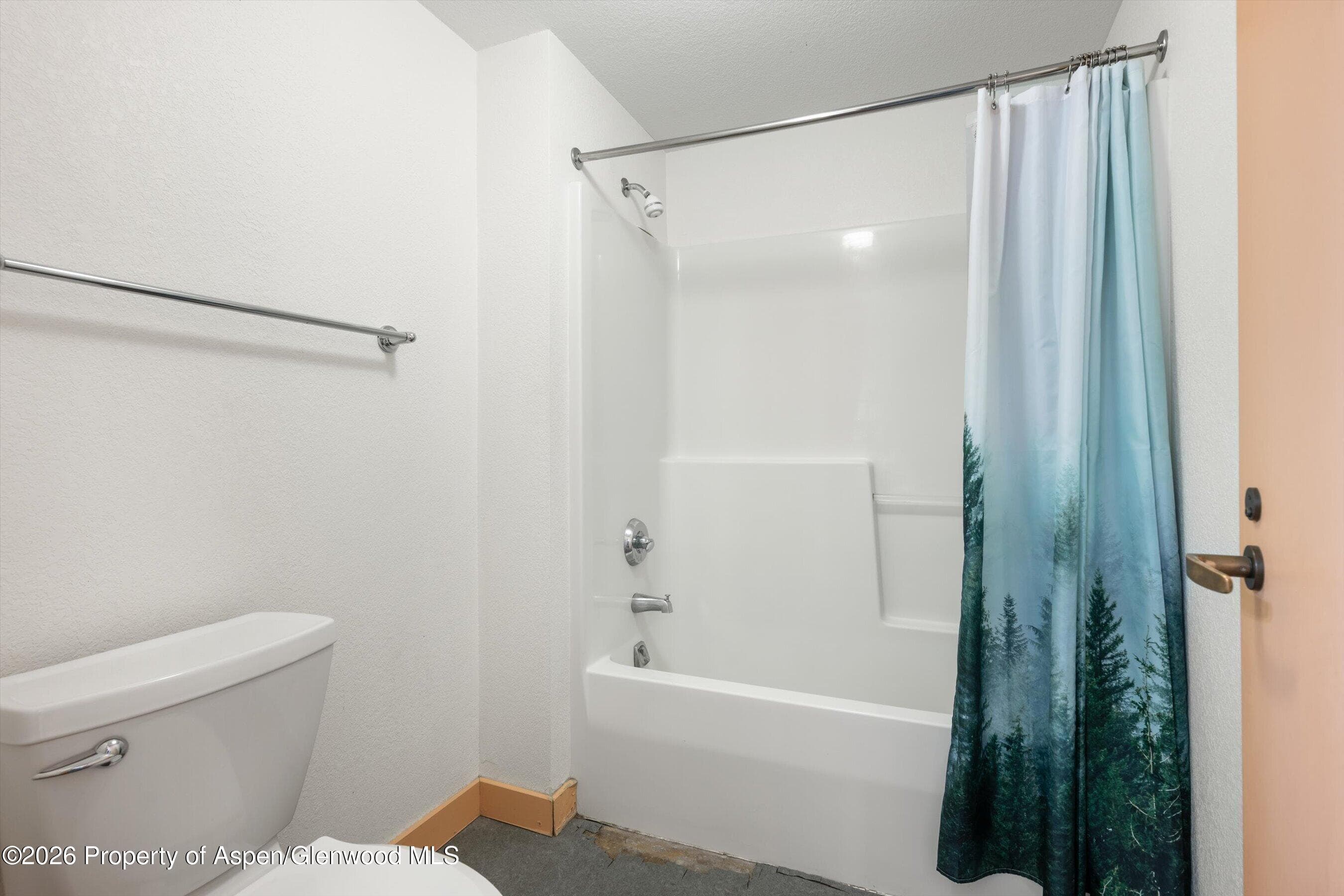 115 Boomerang Road 5309, Aspen, CO 81611 - Photo 27
