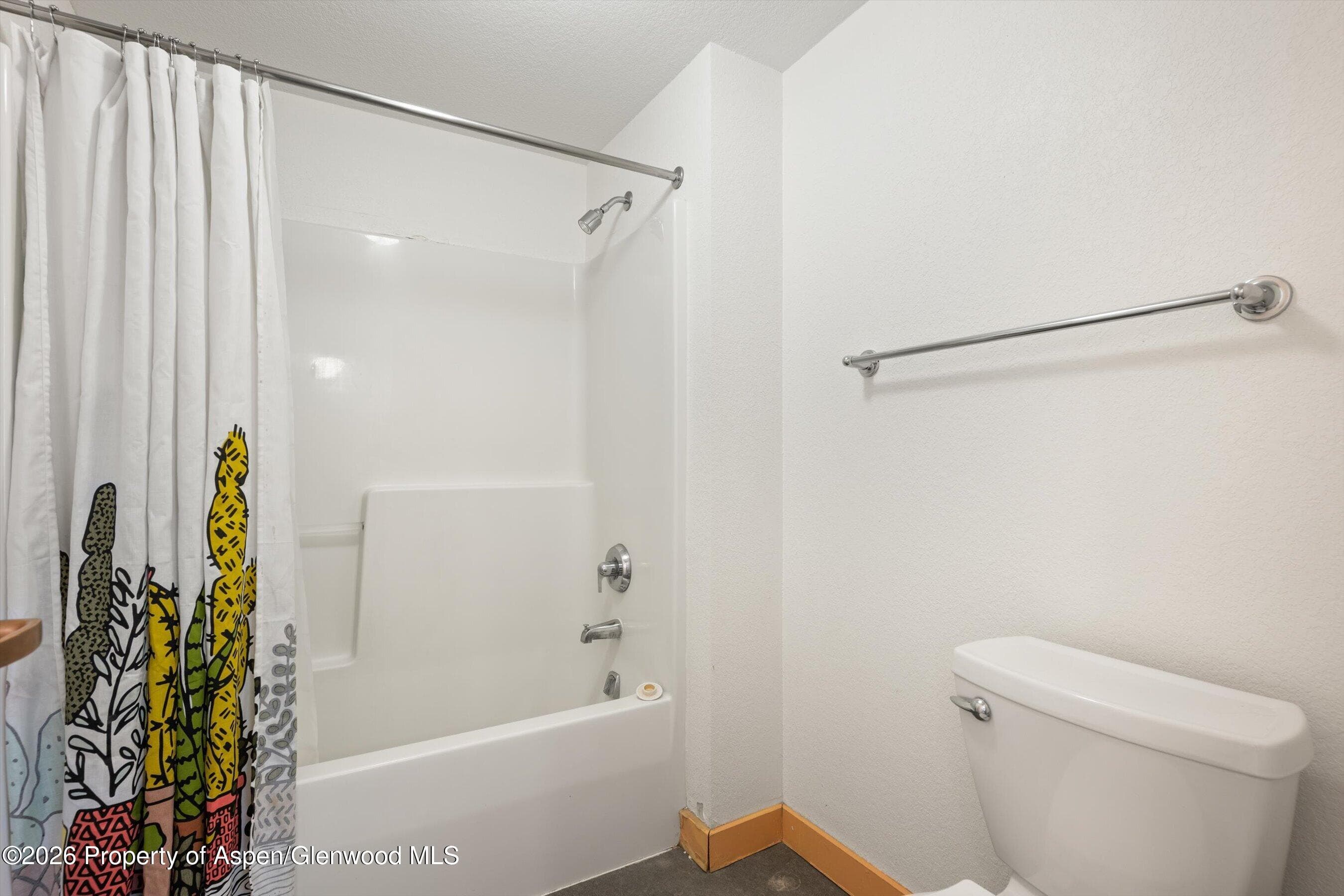 115 Boomerang Road 5309, Aspen, CO 81611 - Photo 26