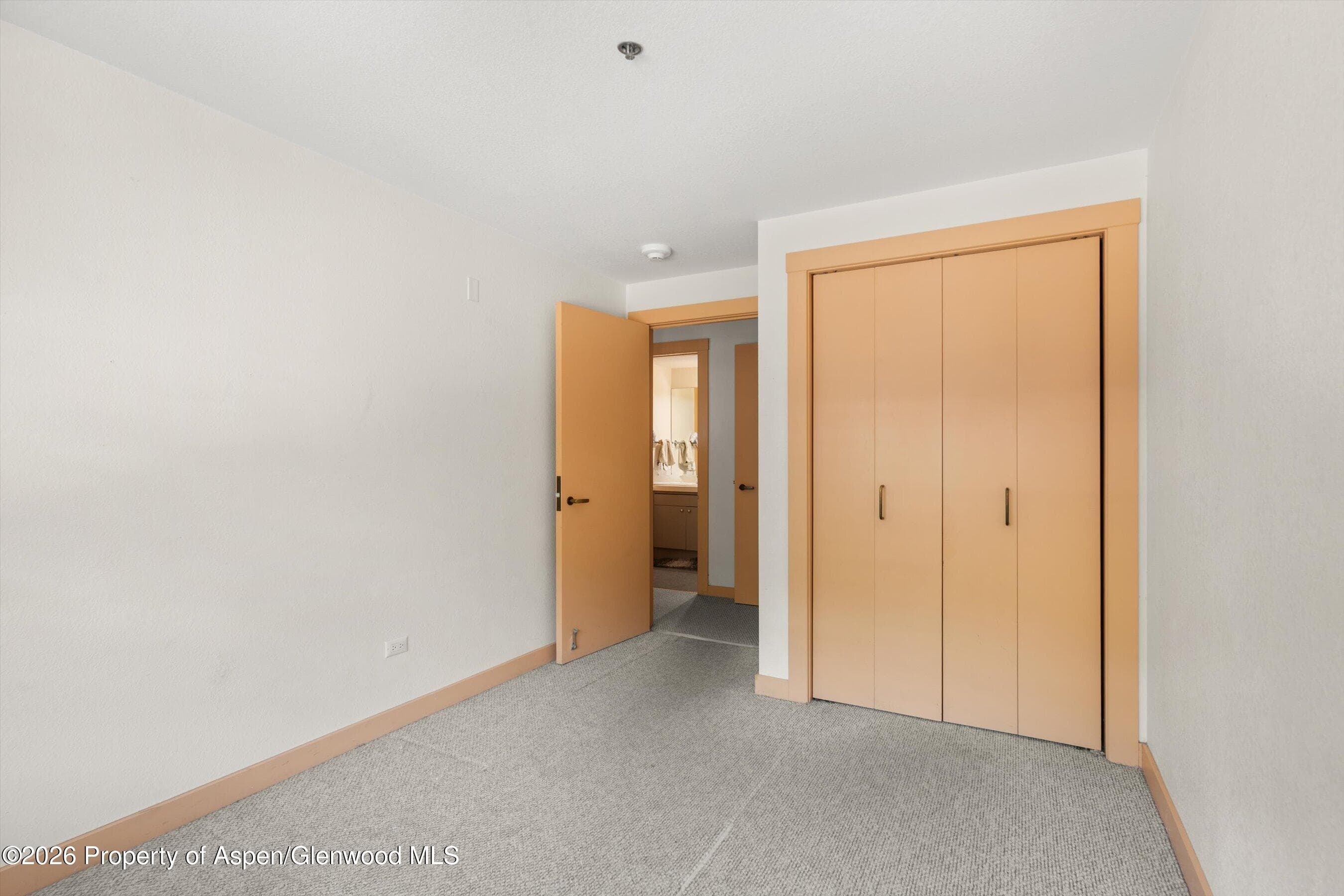 115 Boomerang Road 5309, Aspen, CO 81611 - Photo 18