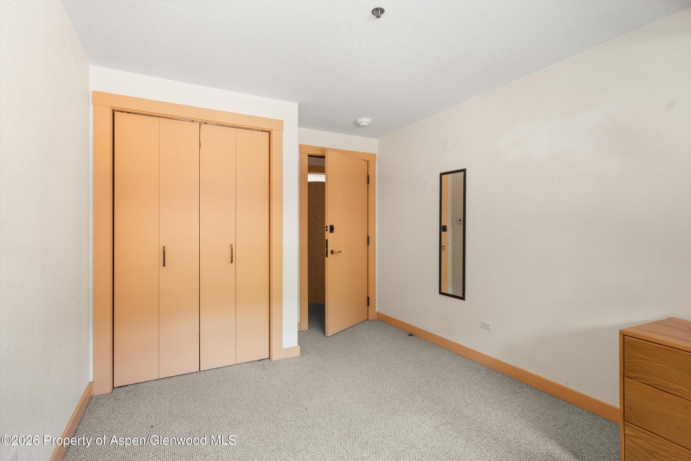 115 Boomerang Road 5309, Aspen, CO 81611 - Photo 21