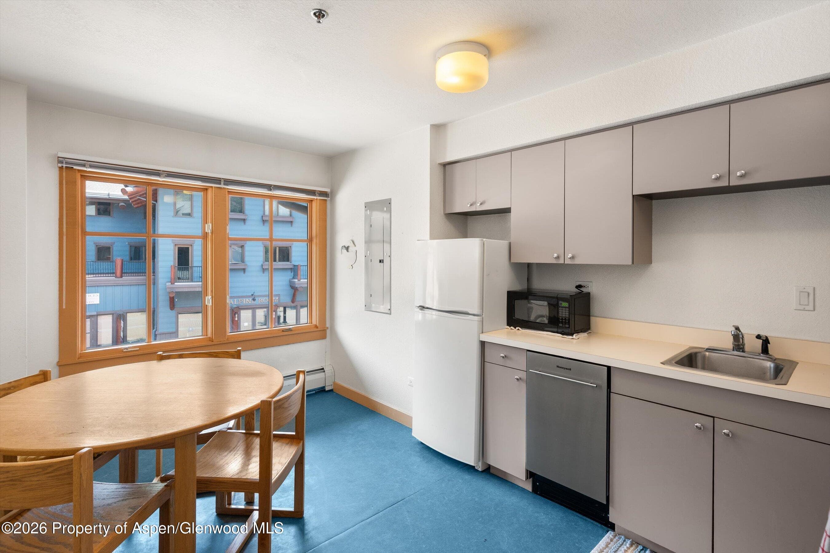115 Boomerang Road 5309, Aspen, CO 81611 - Photo 6